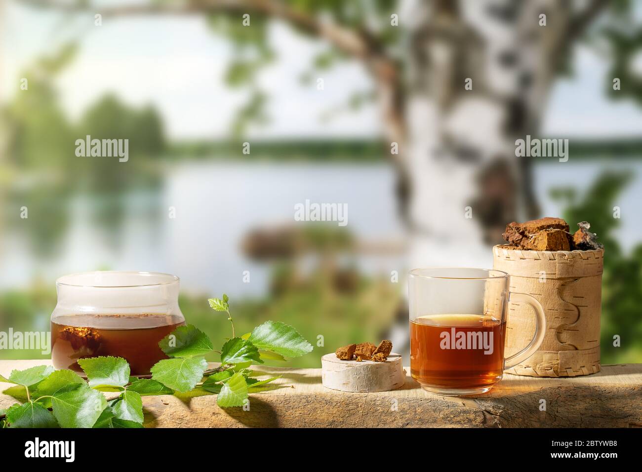 Tè curativo da chaga di funghi di betulla e pezzi di funghi chaga su sfondo sfocato di betulla vicino lago. Chaga caffè o tè. Forte antiossidante IR Foto Stock