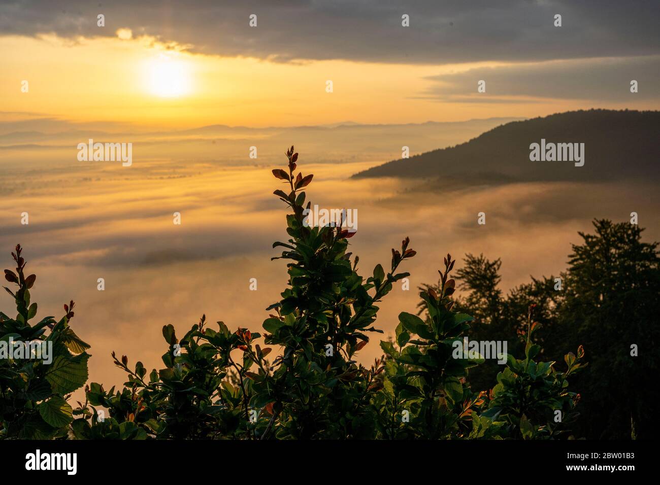 Alba su Lubiana dalle Marais di Lubiana Foto Stock