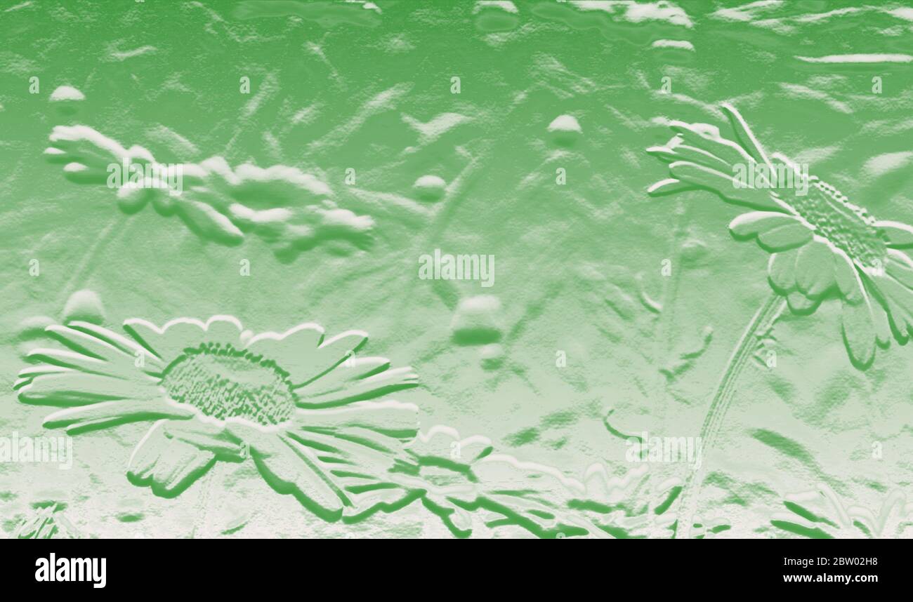 Verde chiaro 3d goffrato effetto metallico effetto di fiori margheriti, spazio per il testo, copia Foto Stock