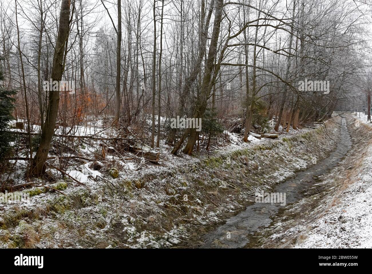 Il fiume di montagna chiamato Bistra scorre attraverso un letto di fiume le cui rive sono rinforzate con grandi pietre. E 'vista invernale che si può vedere in città di Foto Stock