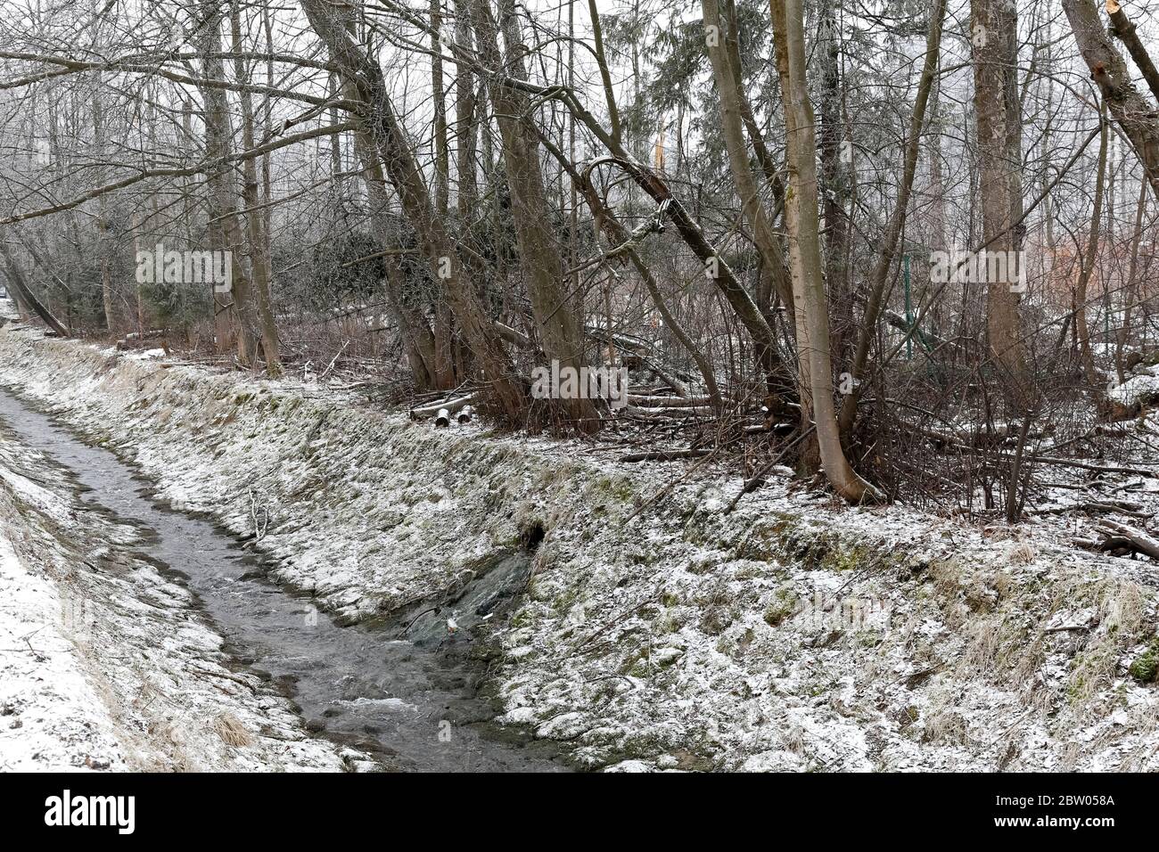 Il fiume di montagna a cui scorre un altro ruscello. Lungo il fiume si trova una foresta, che si trova a Zakopane in Polonia. Foto Stock