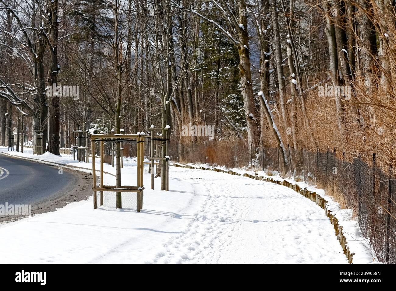Pavimentazione coperta di neve lungo la recinzione con foresta dietro di esso. Una tale passerella può essere vista a Zakopane, in Polonia. Foto Stock