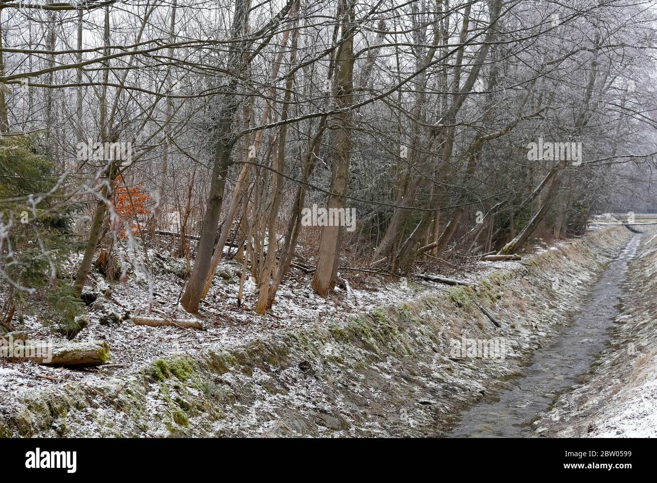 Il fiume che si chiama Bystra Brook è visto nella località di Zakopane in Polonia Foto Stock