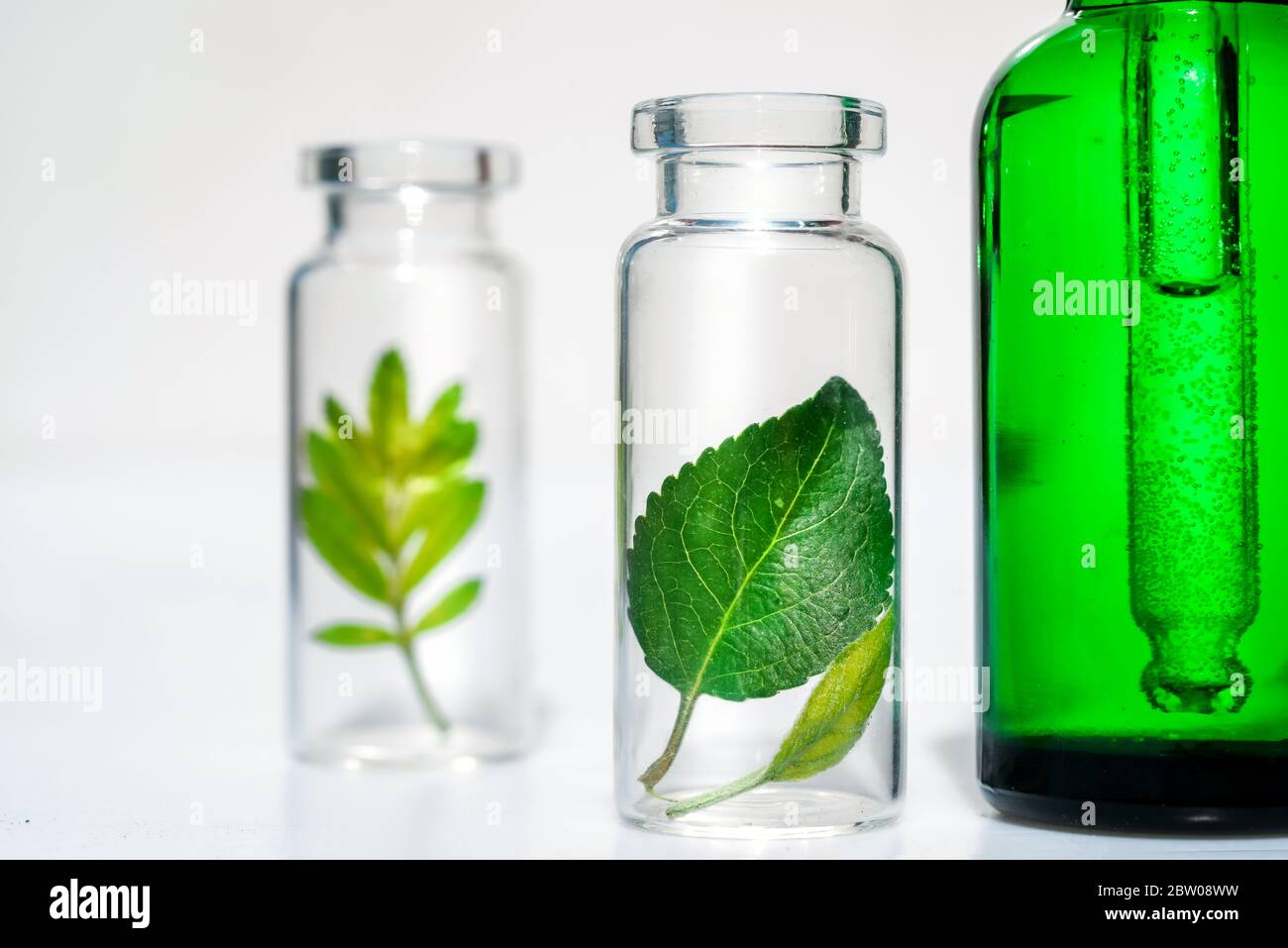 Oli vegetali omeopatici. Concetto di biologico, biosmetico e additivi alimentari Foto Stock