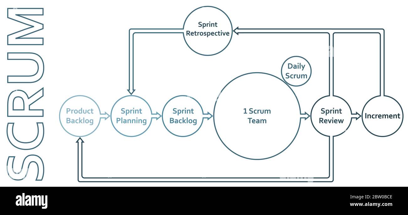 Metodologia di framework Scrum ciclo di vita schema flat infografiche con backlog, sprint, pianificazione, revisione, incremento e retrospettiva. Illustrazione Vettoriale