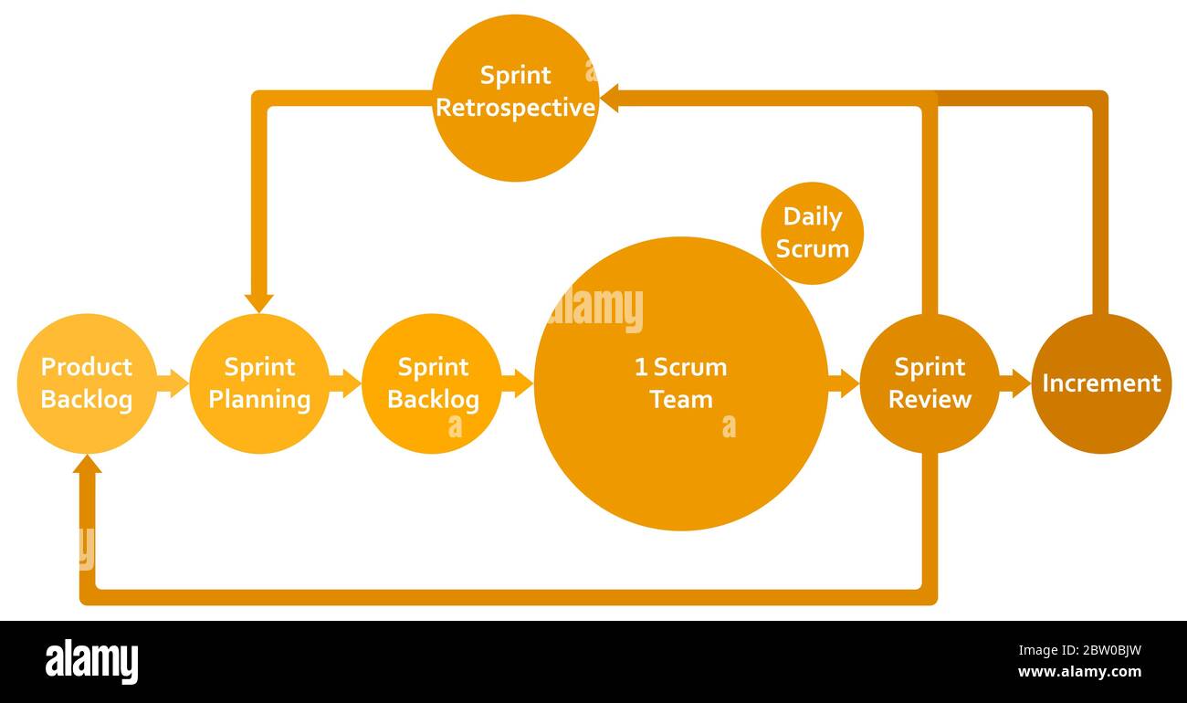 Metodologia di framework Scrum ciclo di vita schema flat infografiche con backlog, sprint, pianificazione, revisione, incremento e retrospettiva. Illustrazione Vettoriale