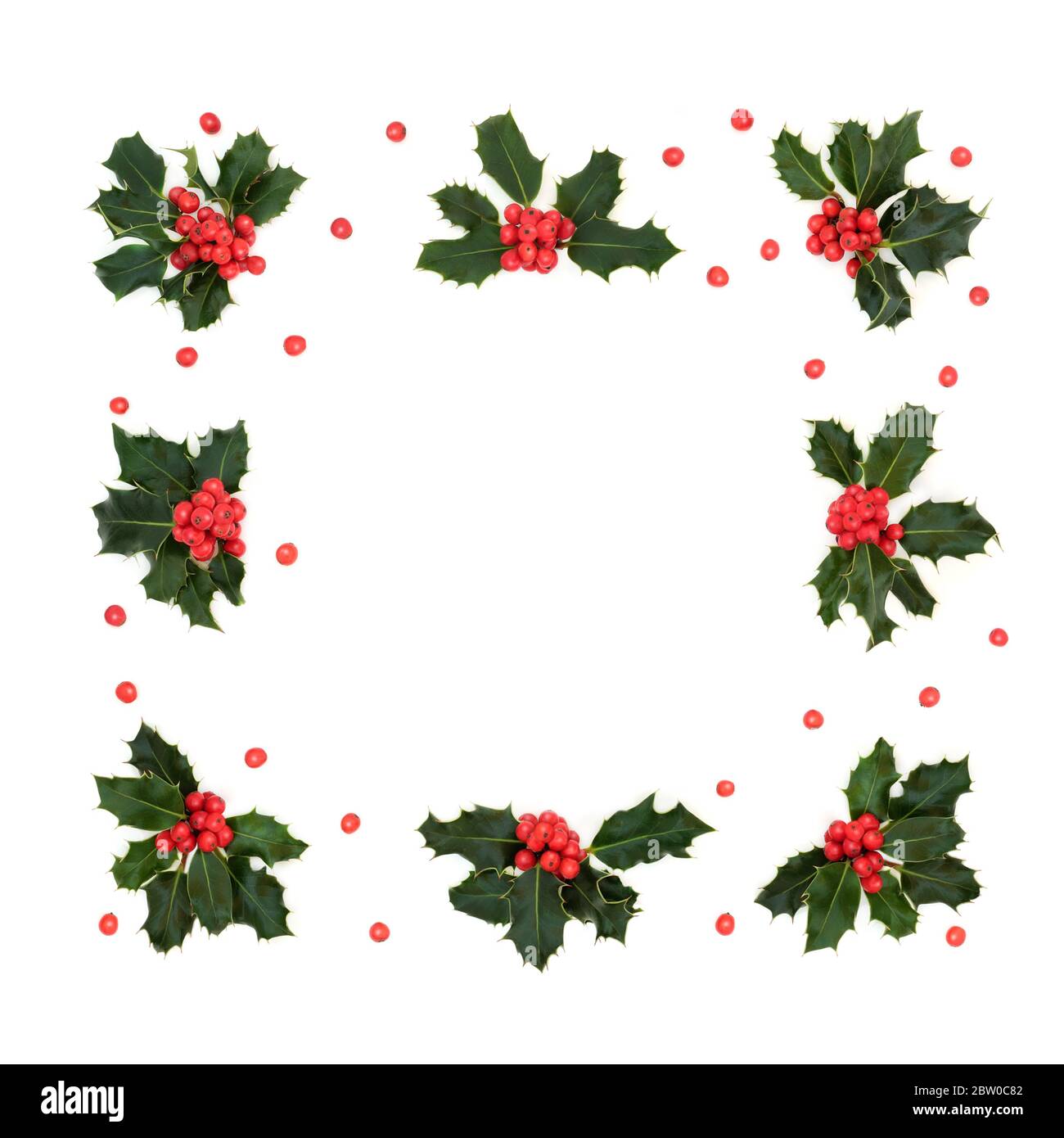 Inverno, Natale & Capodanno piazza stract agnello di mirtillo con bacche sciolte su sfondo bianco. Riassunto composizione minima delle vacanze natalizie. Foto Stock