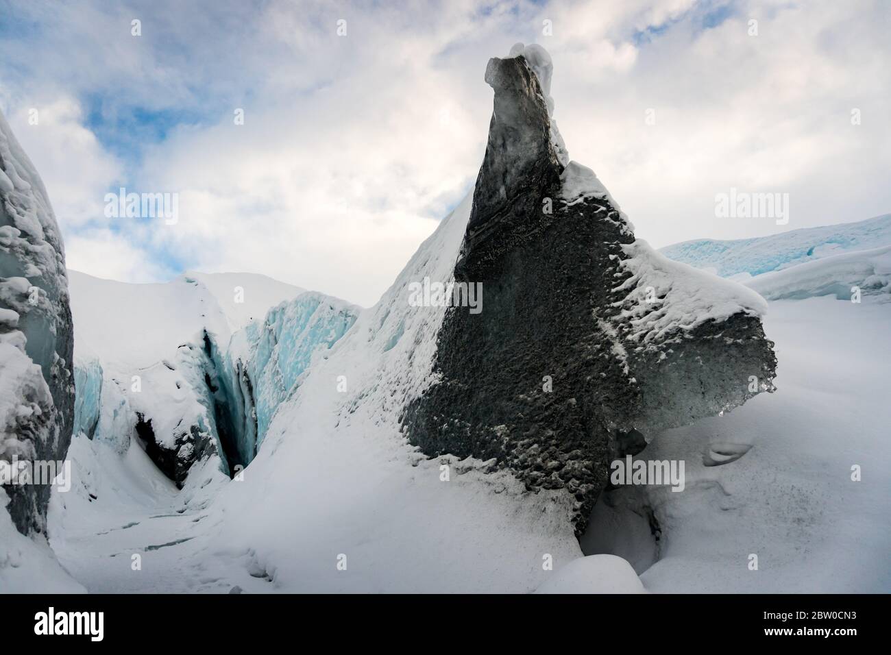 Roccia, pezzo di ghiaccio con la forma di un lupo / cane che si solleva dalla neve nel Ghiacciaio Matanuska, Anchorage, Alaska. È il richiamo del selvaggio. Foto Stock
