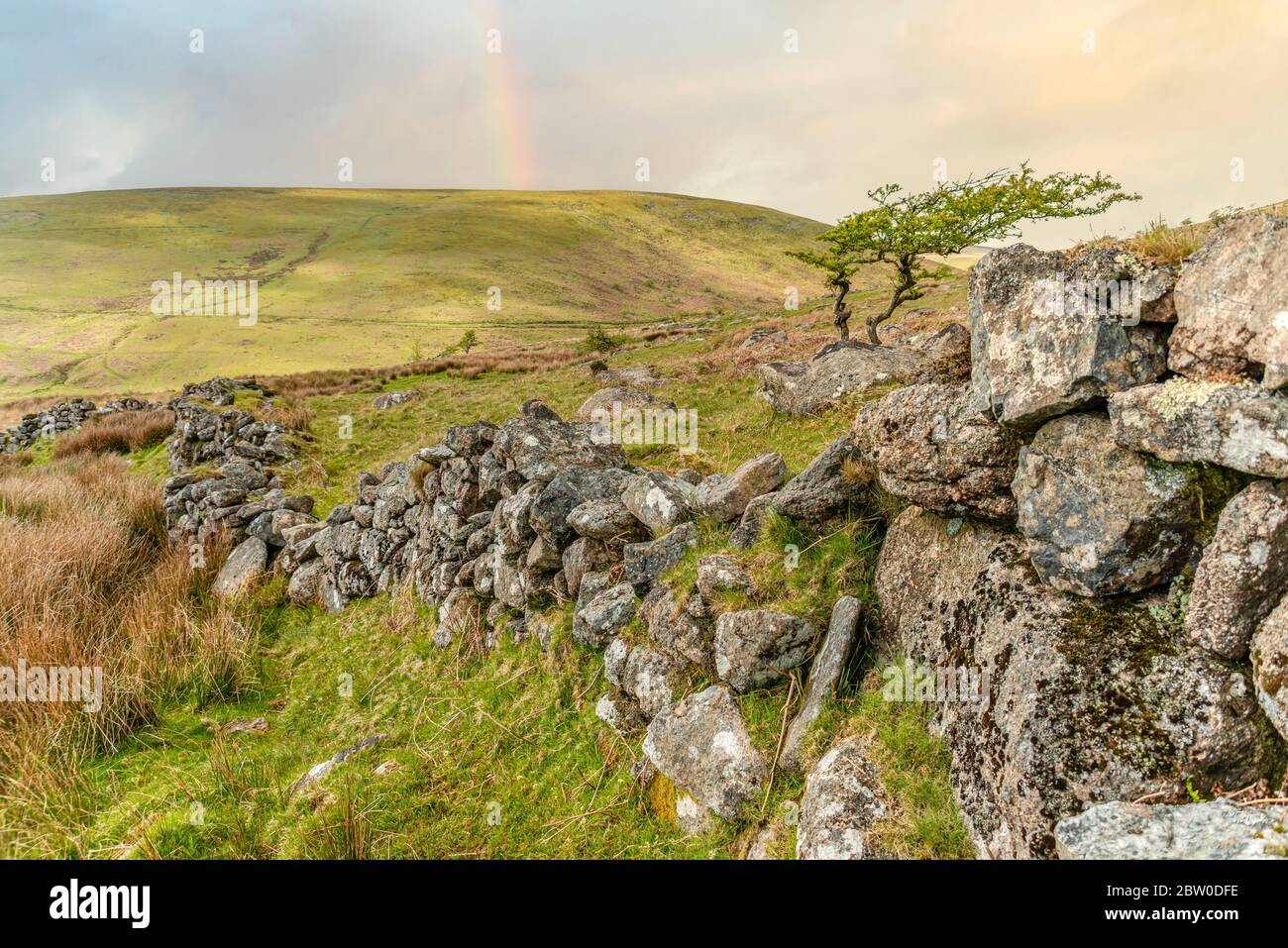 Muro di pietra in un paesaggio al Dartmoor National Park, Devon, Inghilterra, Regno Unito Foto Stock