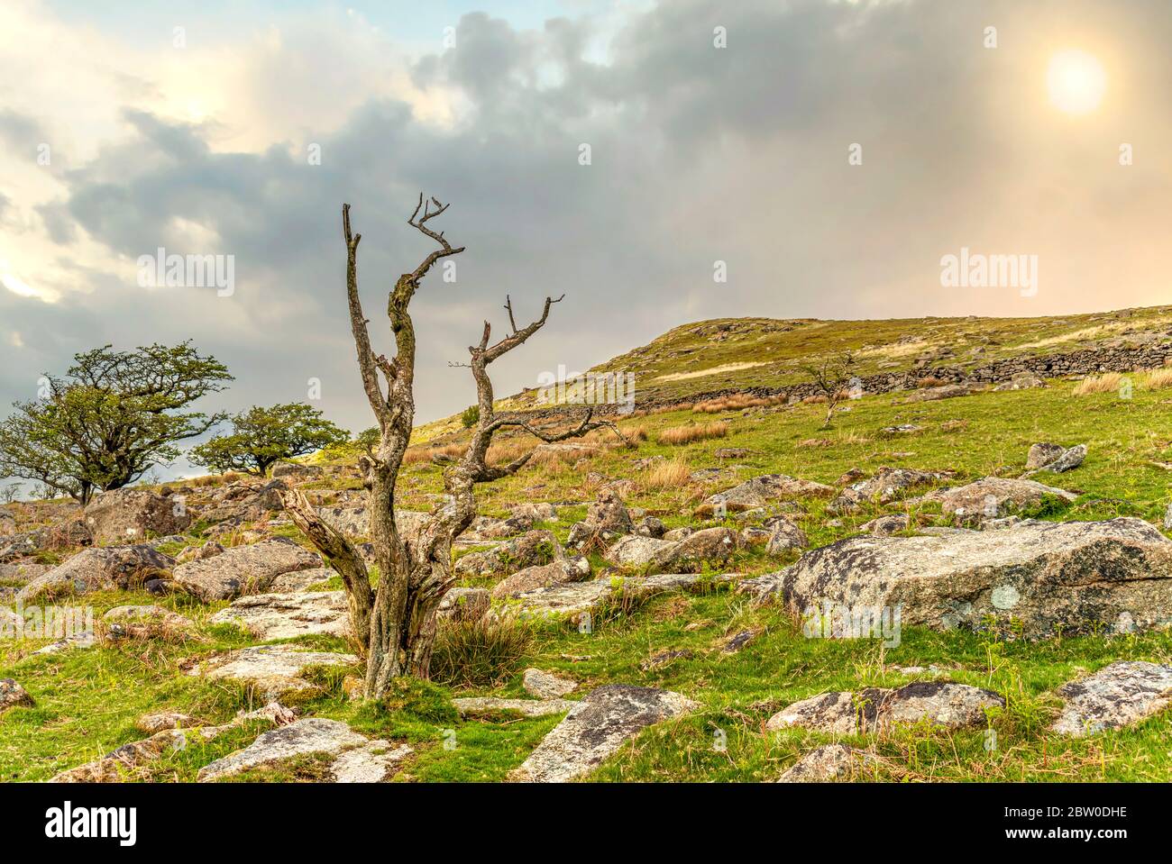Paesaggio al Dartmoor National Park, Devon, Inghilterra, Regno Unito Foto Stock