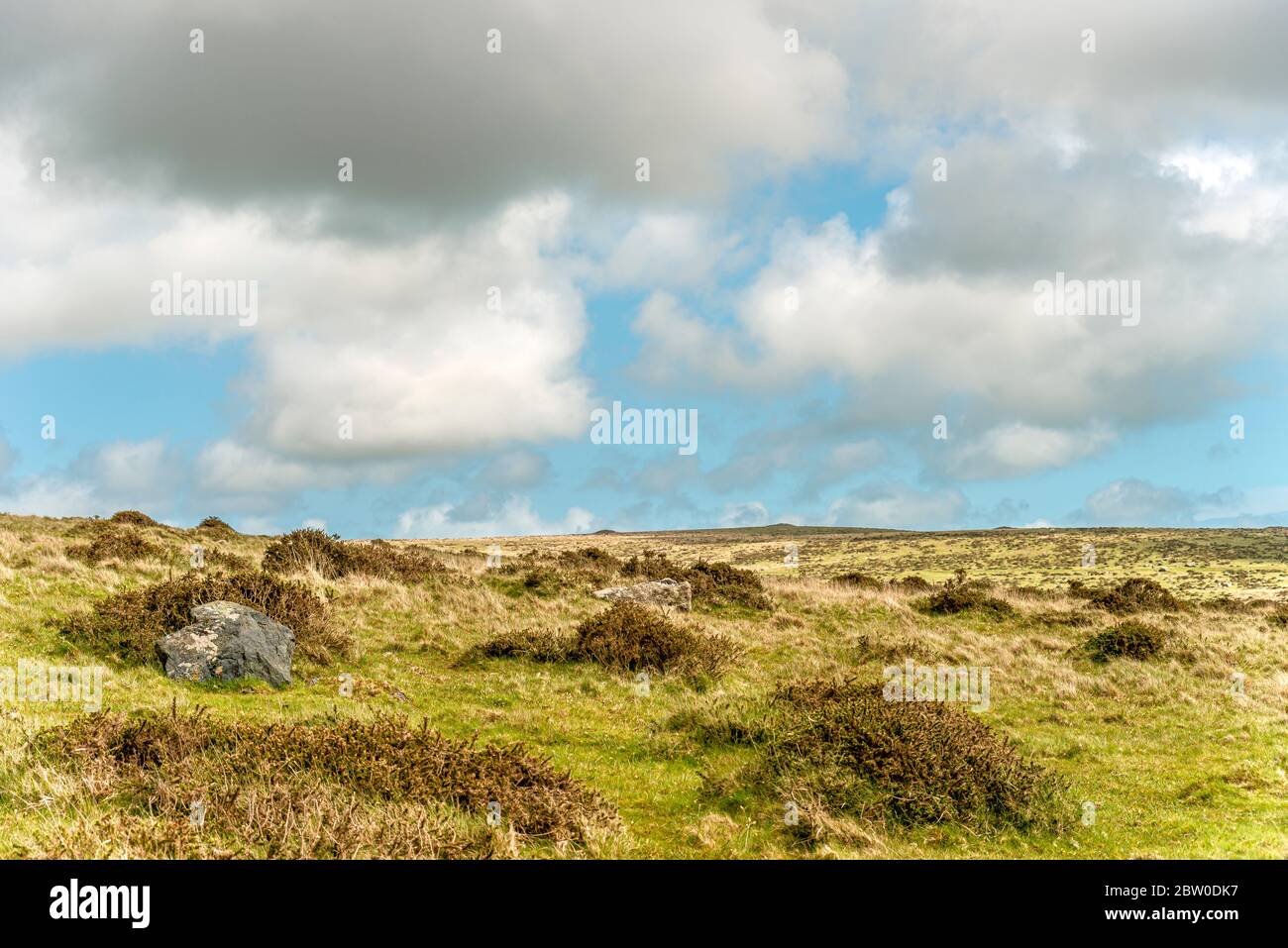 Paesaggio al Dartmoor National Park, Devon, Inghilterra, Regno Unito Foto Stock