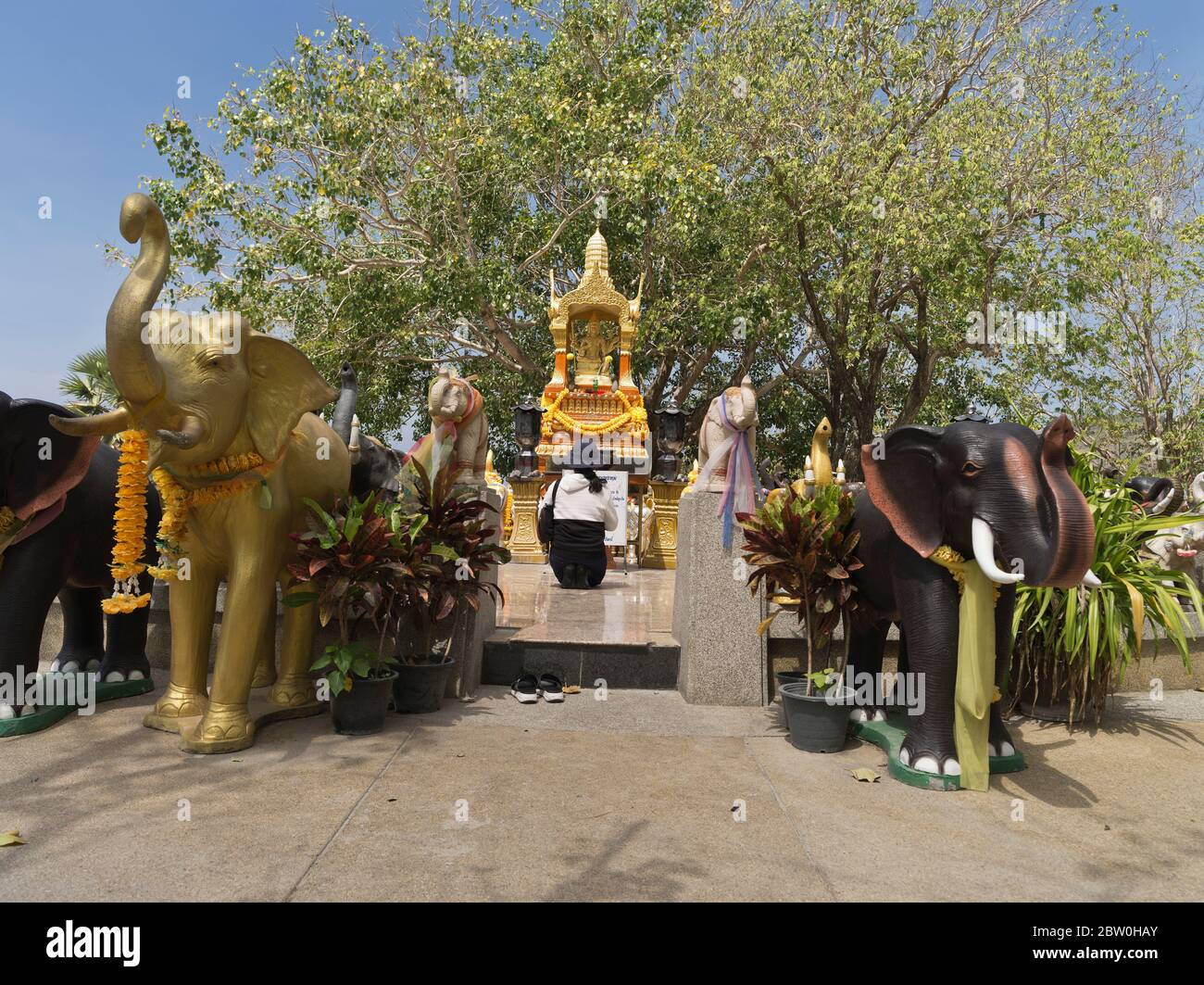 dh Promthep Capo Phra Prom Area PHUKET THAILANDIA Elefante statue Donna thailandese che prega presso il santuario indù Brahma preghiera induista locale cultura delle persone Foto Stock