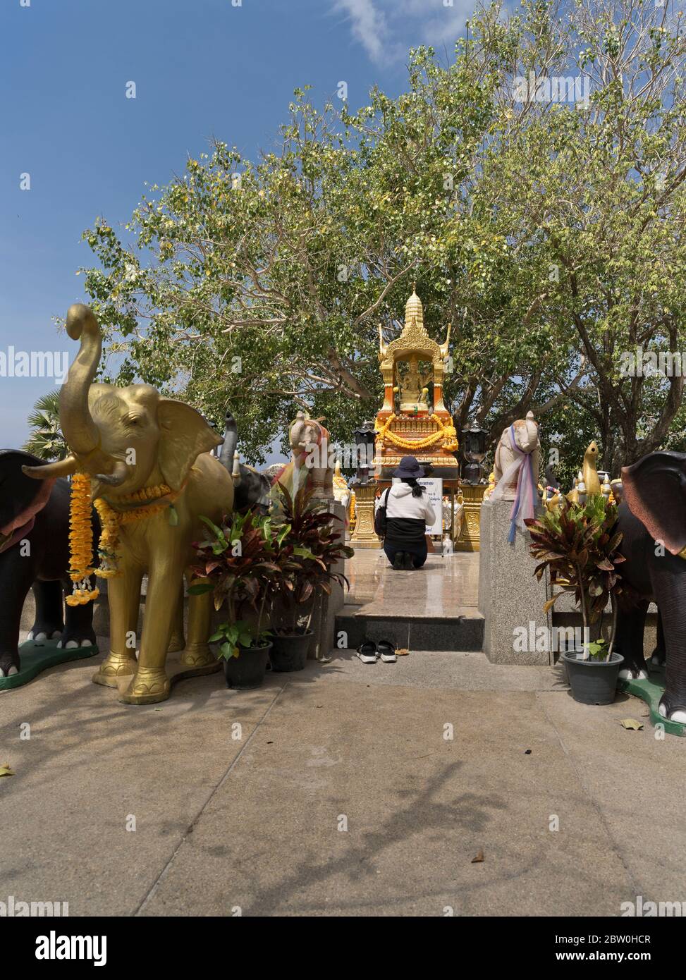 dh Promthep Capo Phra Prom Area PHUKET THAILANDIA statue di elefanti Tailandese donna che prega al Brahma indù santuario induista persona Foto Stock