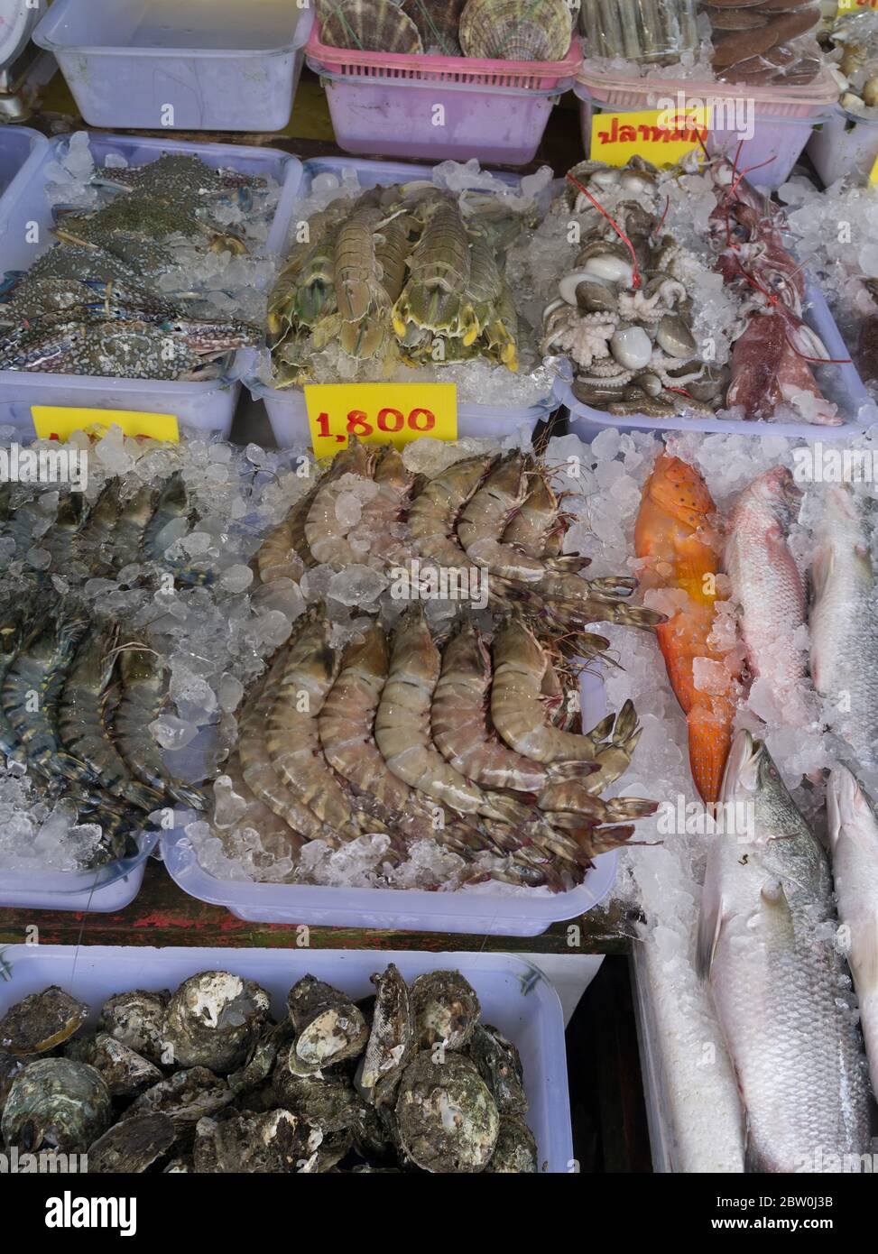 dh Rawai mercato del pesce PHUKET THAILANDIA Fishmongers frutti di mare prodotti stalli mercati pesce ghiaccio gamberi thailandesi Foto Stock