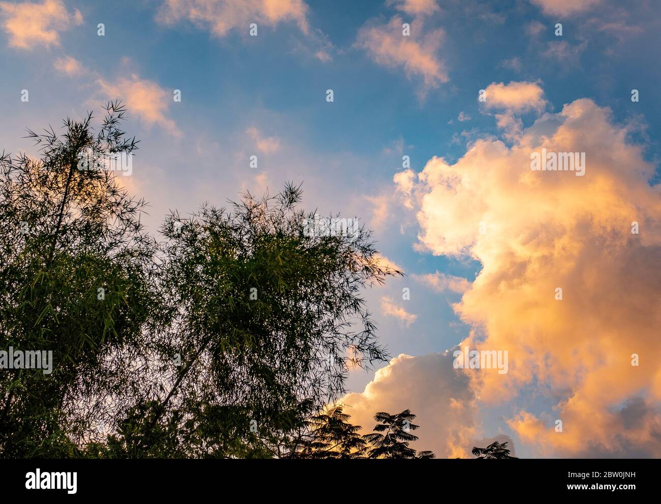 Cielo serale con nuvole dorate e lussureggiante fogliame, senza persone, Bali, Indonesia Foto Stock