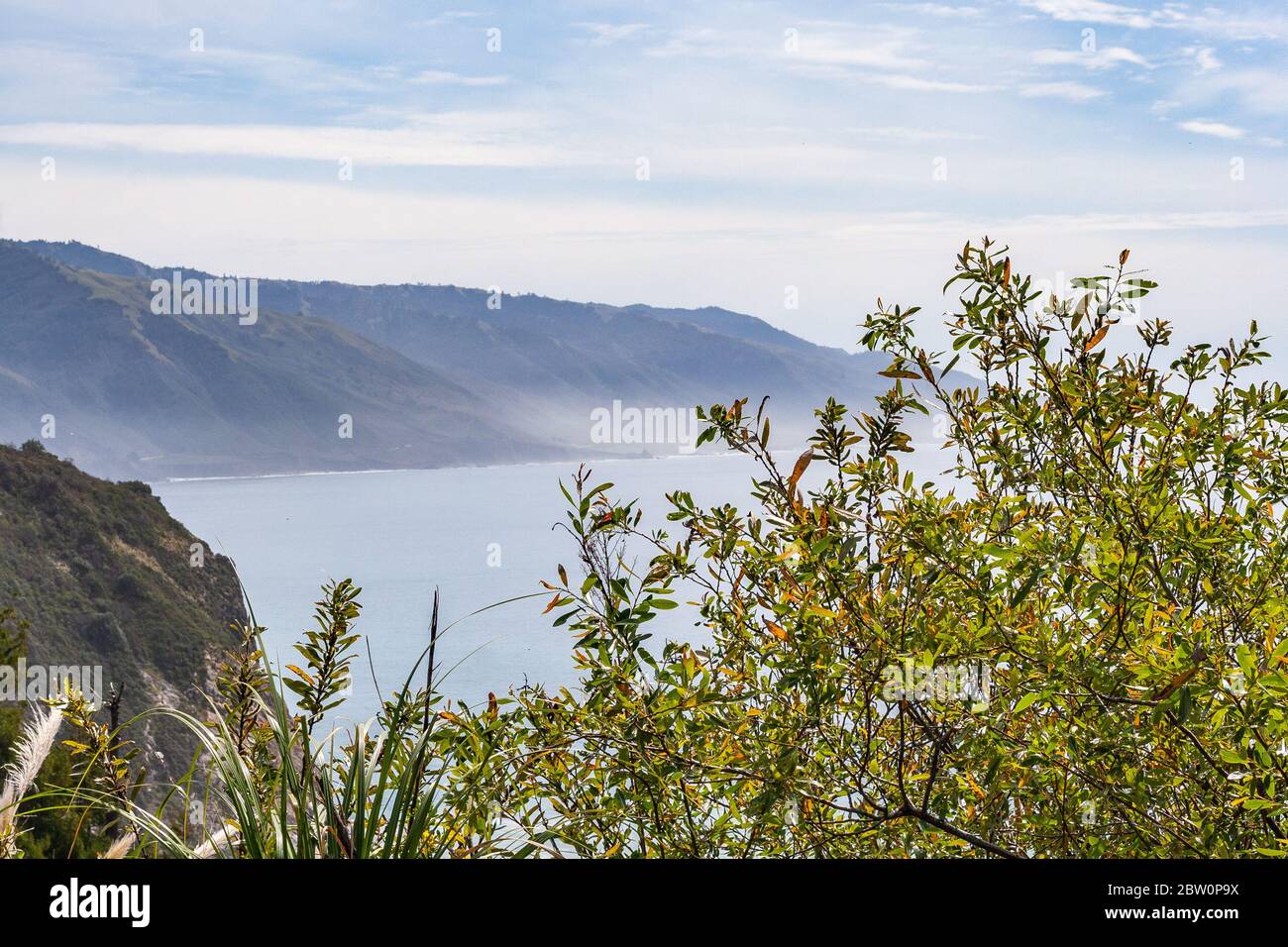 Paesaggio lungo l'autostrada US 1 nella California costiera Foto Stock