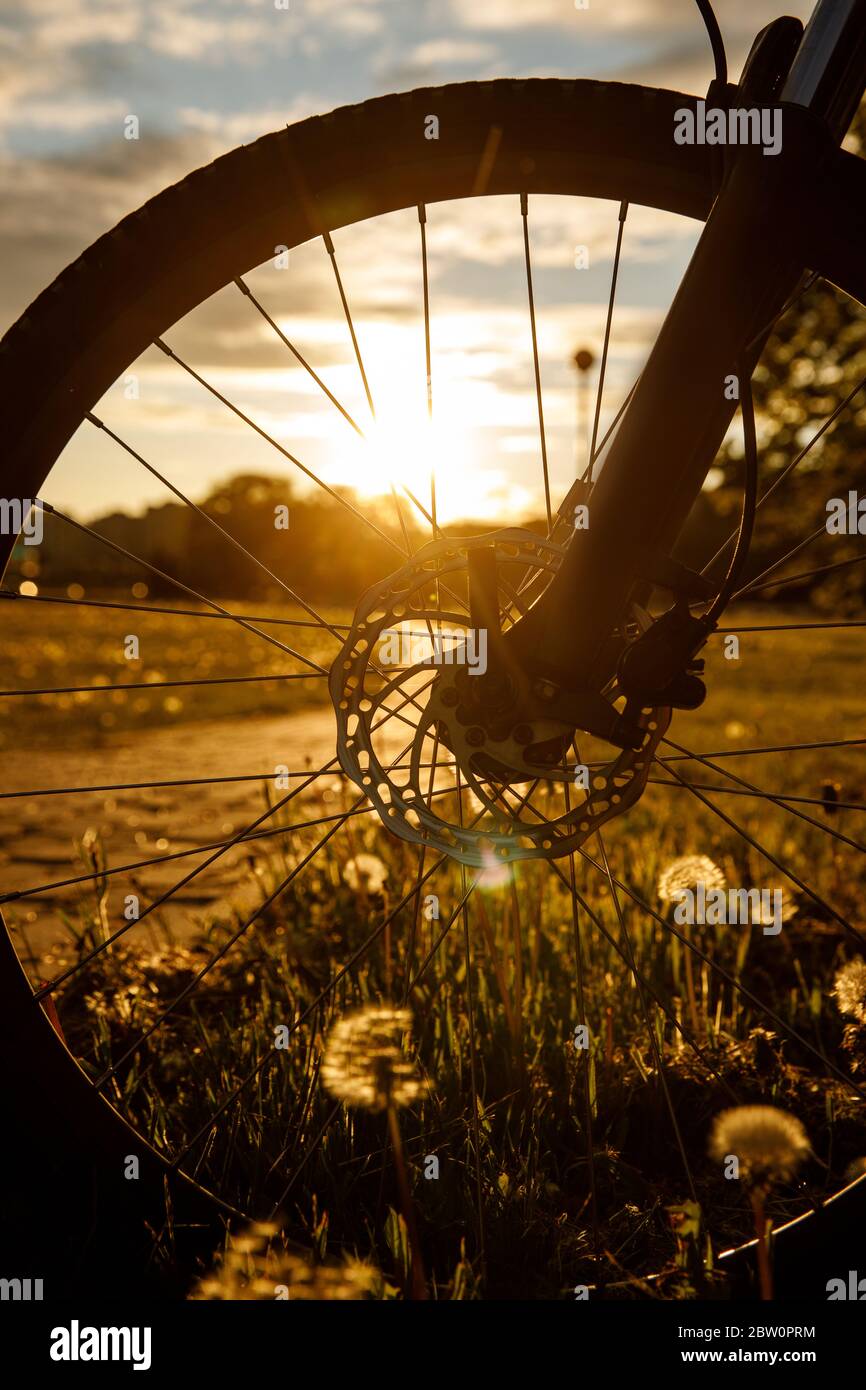 Ruota in bicicletta nel campo al tramonto. Primo piano di un disco del freno idraulico Foto Stock