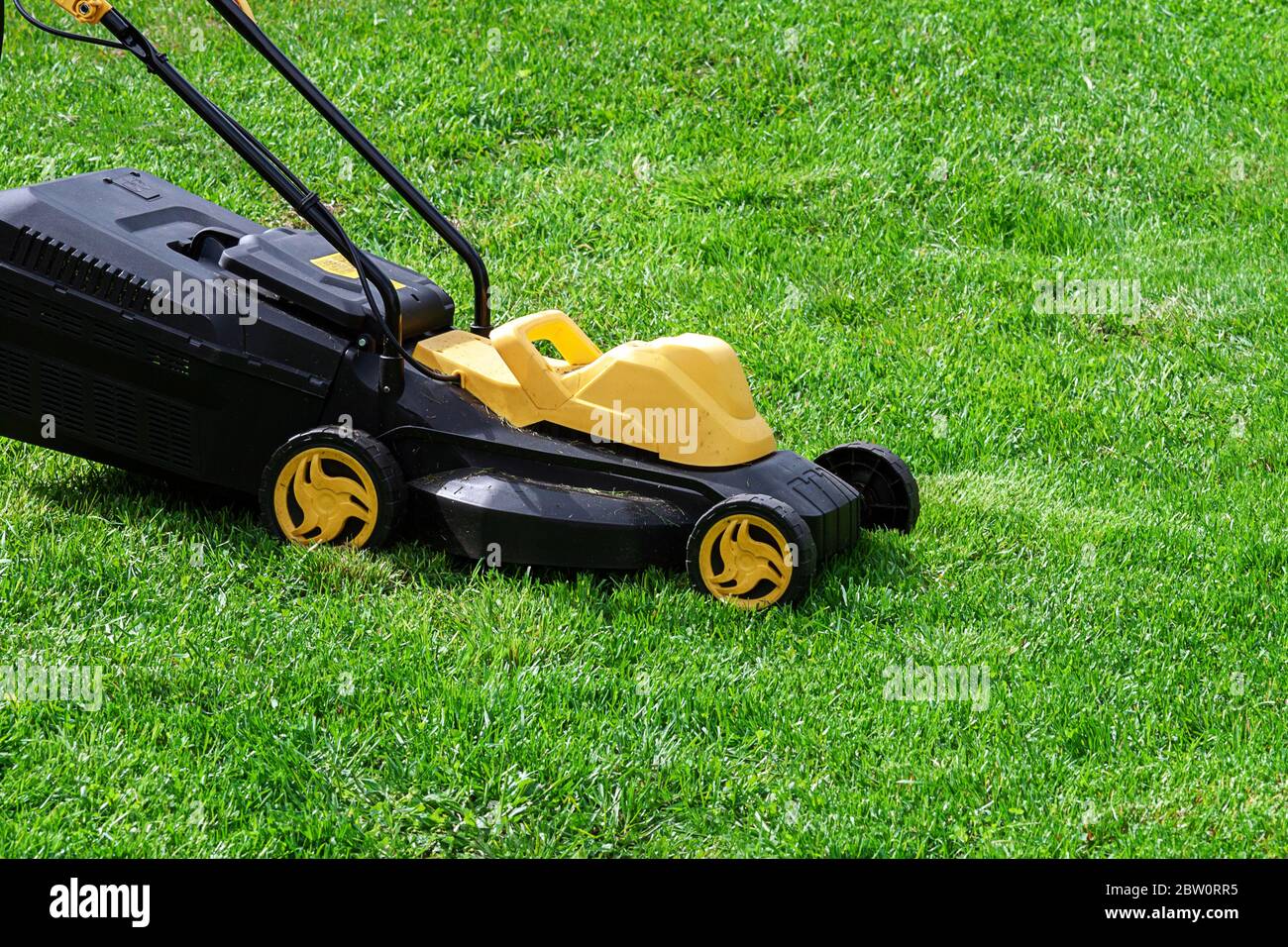 rasaerba elettrico per erba per erba verde Foto Stock