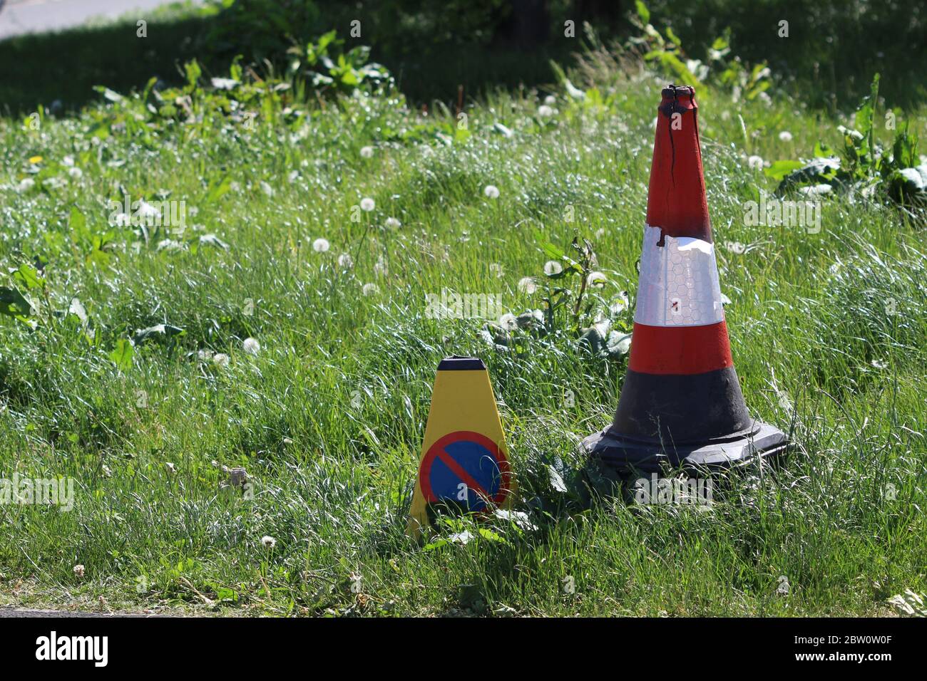 Due diversi coni di traffico abbandonati su un campo sommerso in crescita Foto Stock