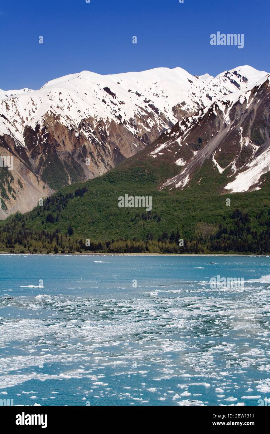 Saint Alias Mountain Range e Yakutat Bay, Golfo dell'Alaska, Alaska sudorientale, Stati Uniti, Nord America Foto Stock