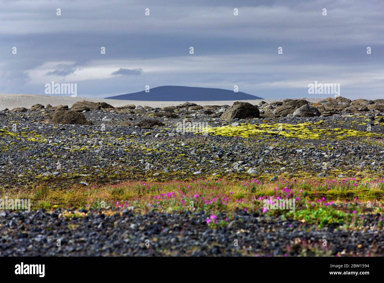 Paesaggio vulcanico, Highlands, Islanda del Nord Foto Stock