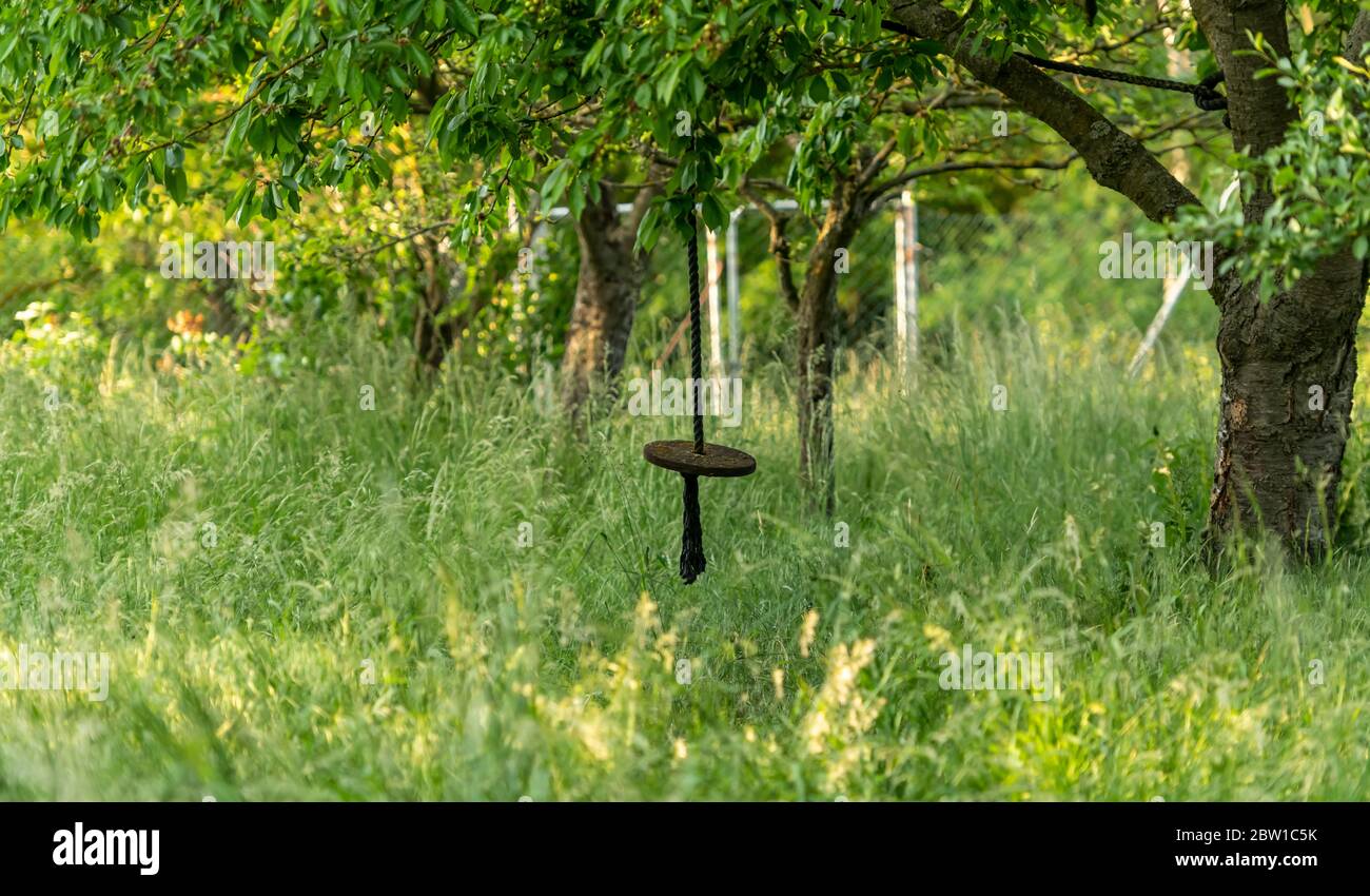 Swing da un disco di legno pende su una corda spessa in un giardino sopravorto Foto Stock