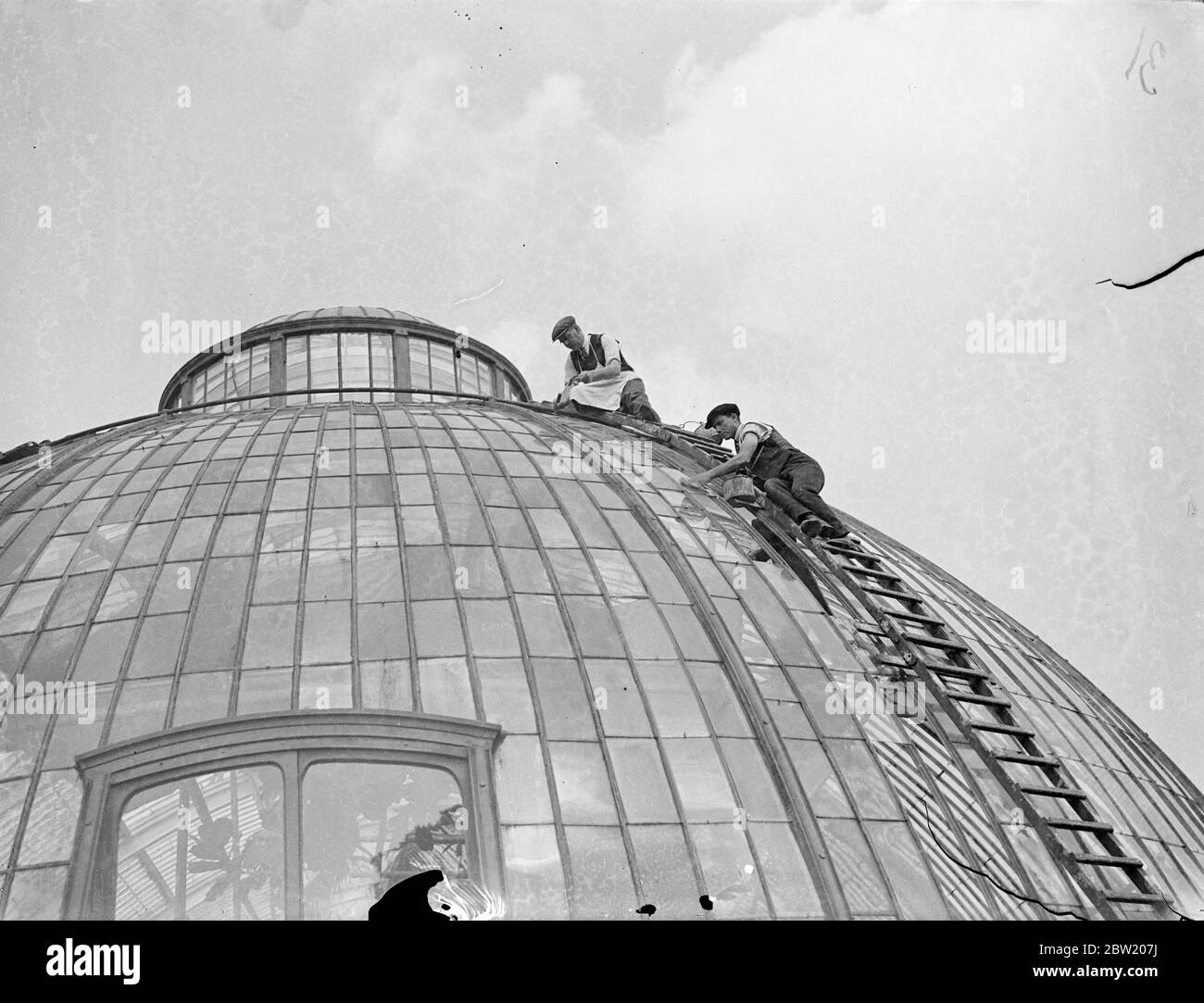 Un intero acro di vetro è utilizzato per ri-glaze la Casa delle Palme, Kew Gardens con vetro trasparente invece di verde. La Casa delle Palme, che ospita centinaia di delicate piante tropicali è stato costruito nel 1845 un costo di Â£33,000. 20 luglio 1937 Foto Stock