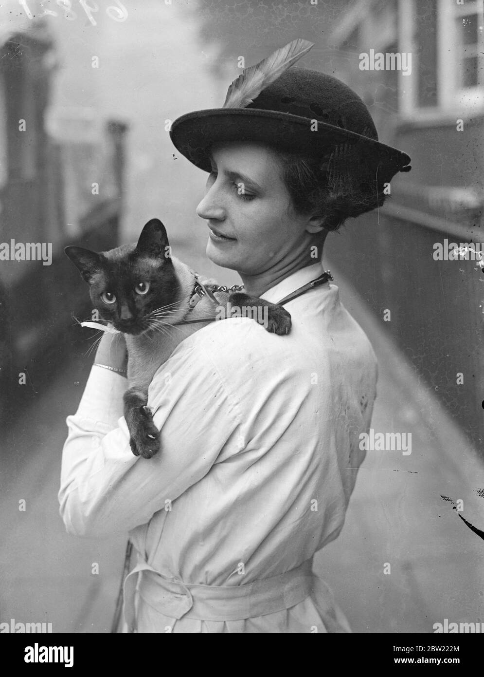 La mostra dei Cat club siamesi è in corso presso la Chenie Street Drill Hall di Bloomsbury. La signora Phyllis Thame con la sua Cecile ha puntato Siamese Blarney di beadle sulla spalla 29 settembre 1937. Foto Stock
