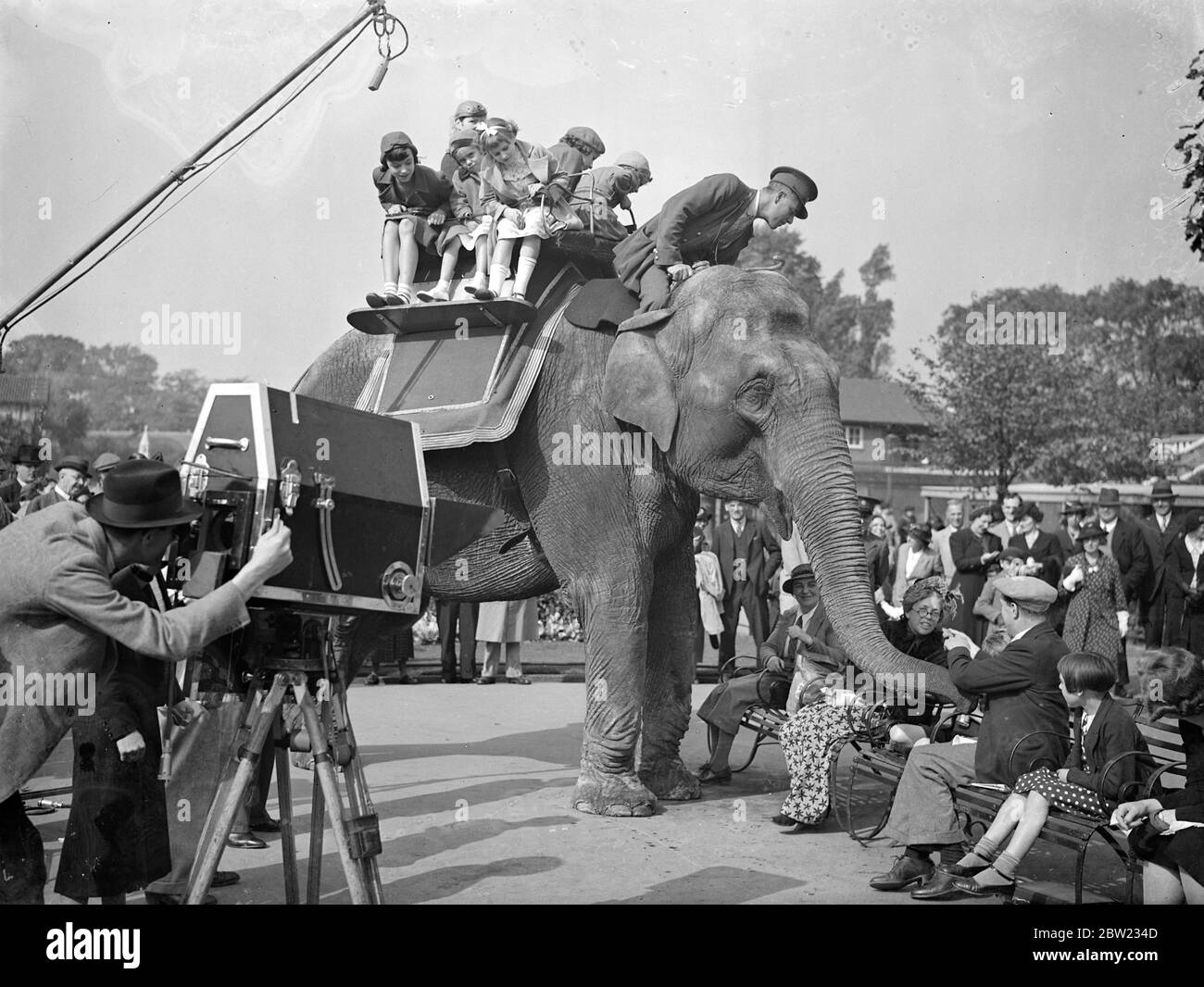 Mabel Constanduros porta ' Bugginses' allo zoo per un nuovo film. Un film che mostra il pubblico visto dagli animali dietro i bar è in fase di produzione presso lo zoo di Londra. La commedia del film è fornita da Mabel Constanduros, che interpreta la parte di Mrs Buggins, nonna e i bambini, la 'famiglia' che ha reso famosa alla radio. Spettacoli fotografici, 'Grandma Buggins' (Mabel Constanduros) riceve l'attenzione ingradita di Ranee, l'elefante come scena è stato girato presso lo zoo di Londra. 24 settembre 1937 Foto Stock