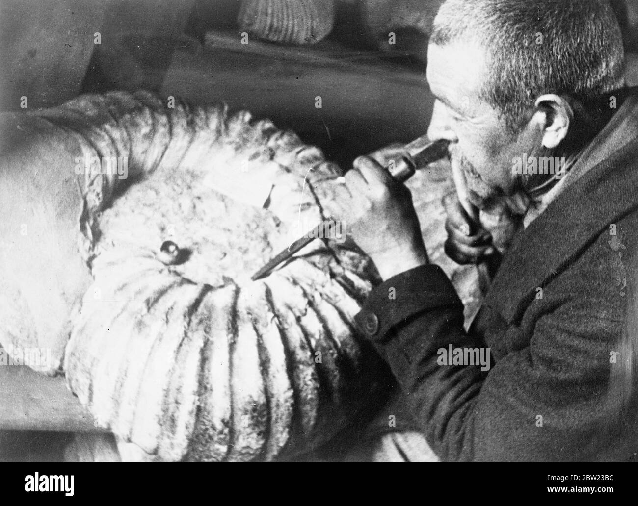 Un'ammonite (guscio fossile) di dimensioni insolitamente grandi che è stata trovata nei depositi di Jurassic nella periferia di Maikop, URSS del Caucaso settentrionale. Il guscio ha un diametro di 69 cm e pesa 75 kg. I geologi dichiarano che gli ammoniti fossili di tali grandi dimensioni sono estremamente rari. 13 ottobre 1937.[?] Foto Stock