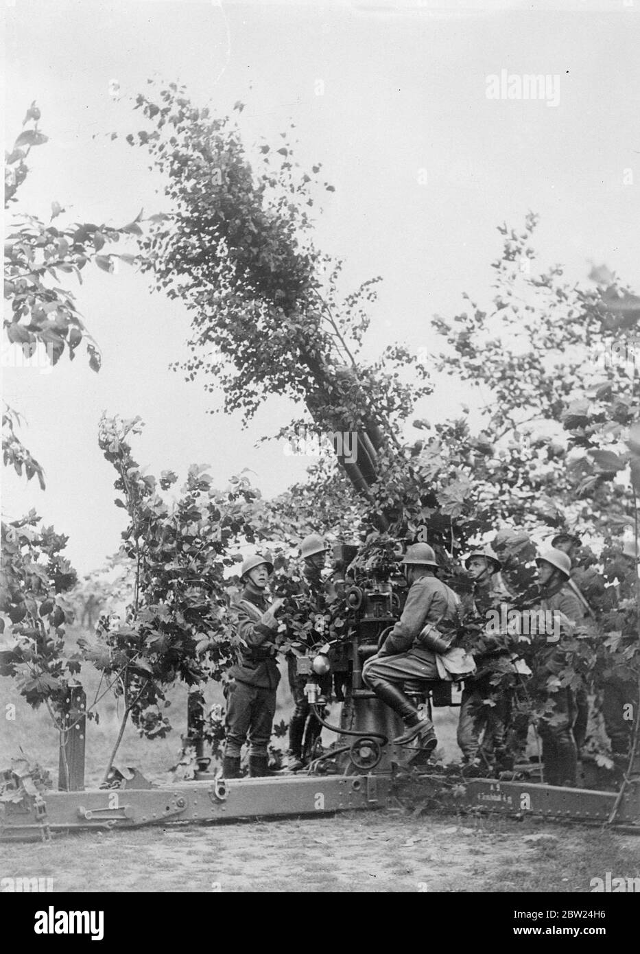 Tutta la Svezia orientale è stata completamente oscurata nell'esercizio anti-air più realistico mai realizzato in Svezia. Foto: Una pistola antiaerea ben mimetata a Sodertalje, vicino Stoccolma. 9 settembre 1938 Foto Stock