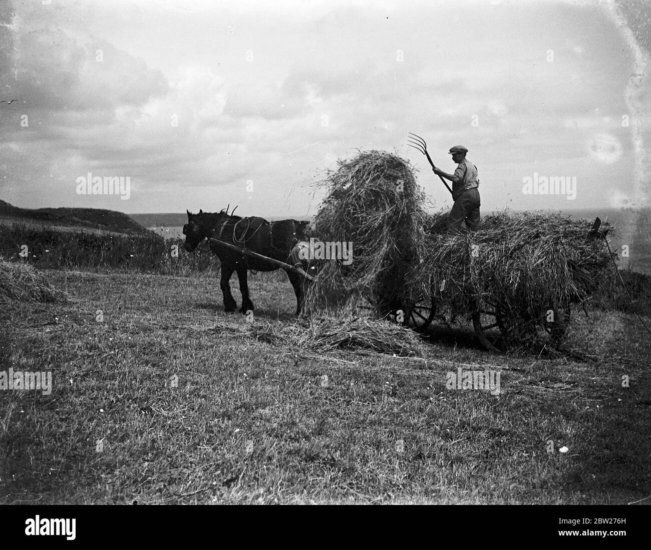 Haymaking a Cadgwith, Cornovaglia. Cavallo, carro, agricoltore, forchetta. 1933 Foto Stock