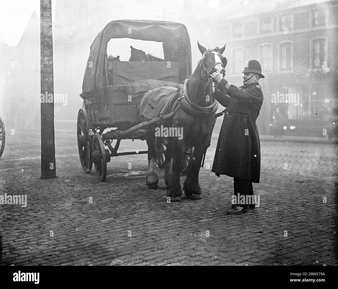 I poliziotti ispezionano un cavallo. (Tenda PC) 1933 Foto Stock