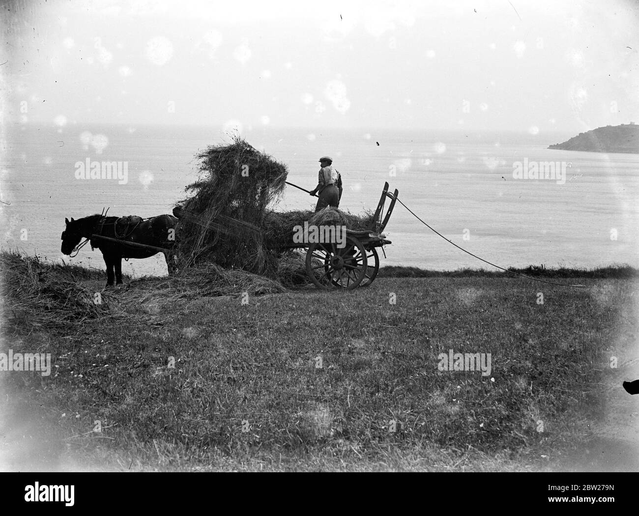 Haymaking a Cadgwith, Cornovaglia. Cavallo, carro, agricoltore, forchetta. 1933 Foto Stock