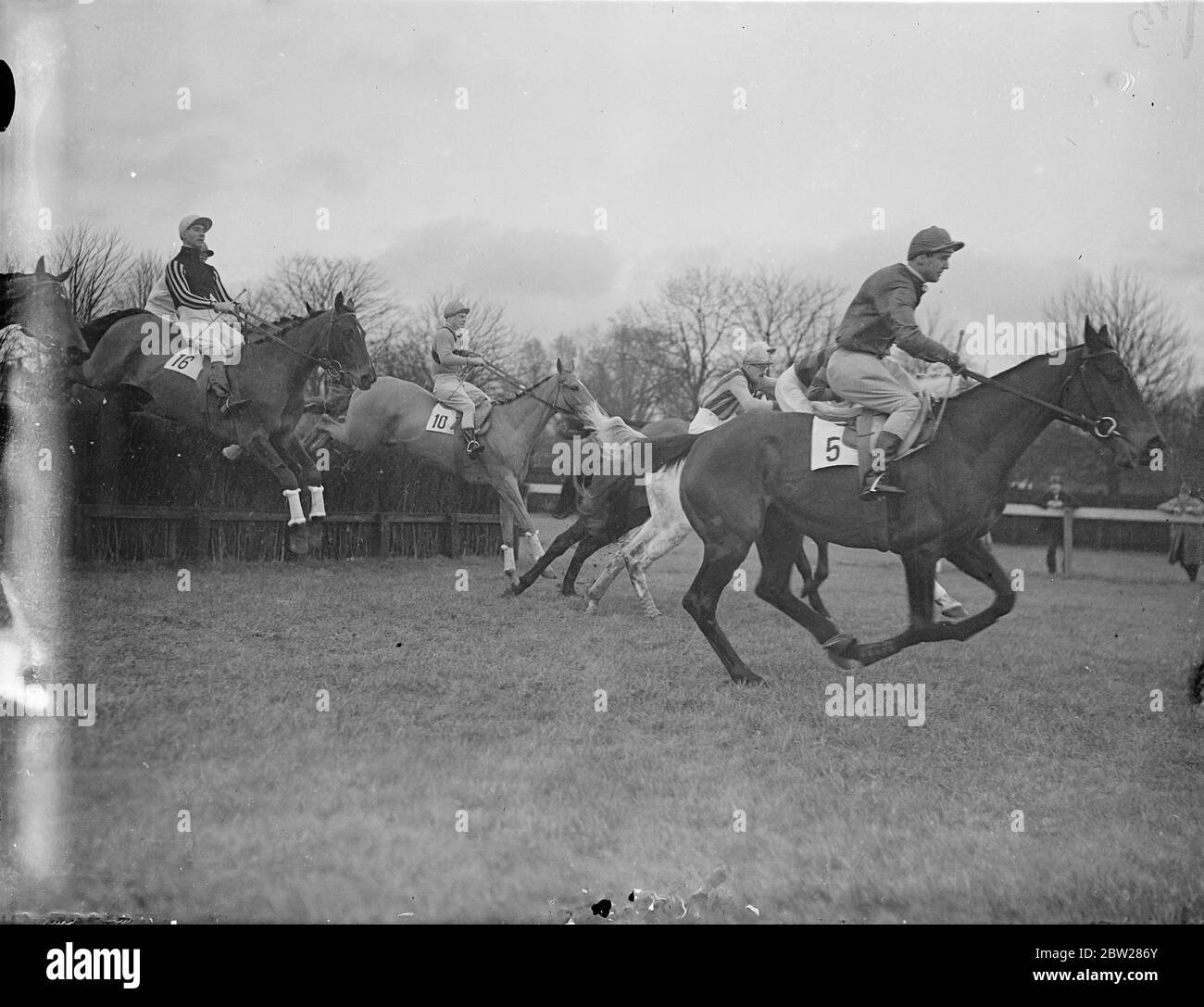 Campo al primo recinto in gara dilettanti. Il campo che prende la prima recinzione nella prima gara, l'Amateurs handicap Steeplechase, a Hurst Park, uno da Heful Hero, (n. 17), di proprietà del signor H A J Silley, in Ardenne, che era terzo, è il n. 16. Altri sono il Deminkoff di Lord Portal (10) e il Sarcato (n. 5, di proprietà del sig. N e Dixon). 14 gennaio 1938 Foto Stock