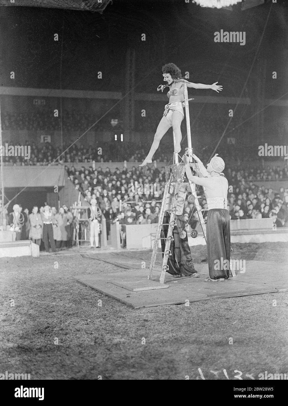 L'unica donna al mondo Fakir apparve nel London Circus. L'unica donna al mondo Yoghi è apparsa nel Bertram Mills, Christmas Circus, che sta per aprire ad Olympia, Londra. Koringa può ballare a piedi nudi fino alla scala delle spade, riposare su vetro rotto e corpo piercer senza prelevare sangue. Parte dell'atto deve essere sepolto nella sabbia. Foto mostra, Koringa appesa al mento da una lama sega tedesco esecuzione. 21 dicembre 1937 Foto Stock