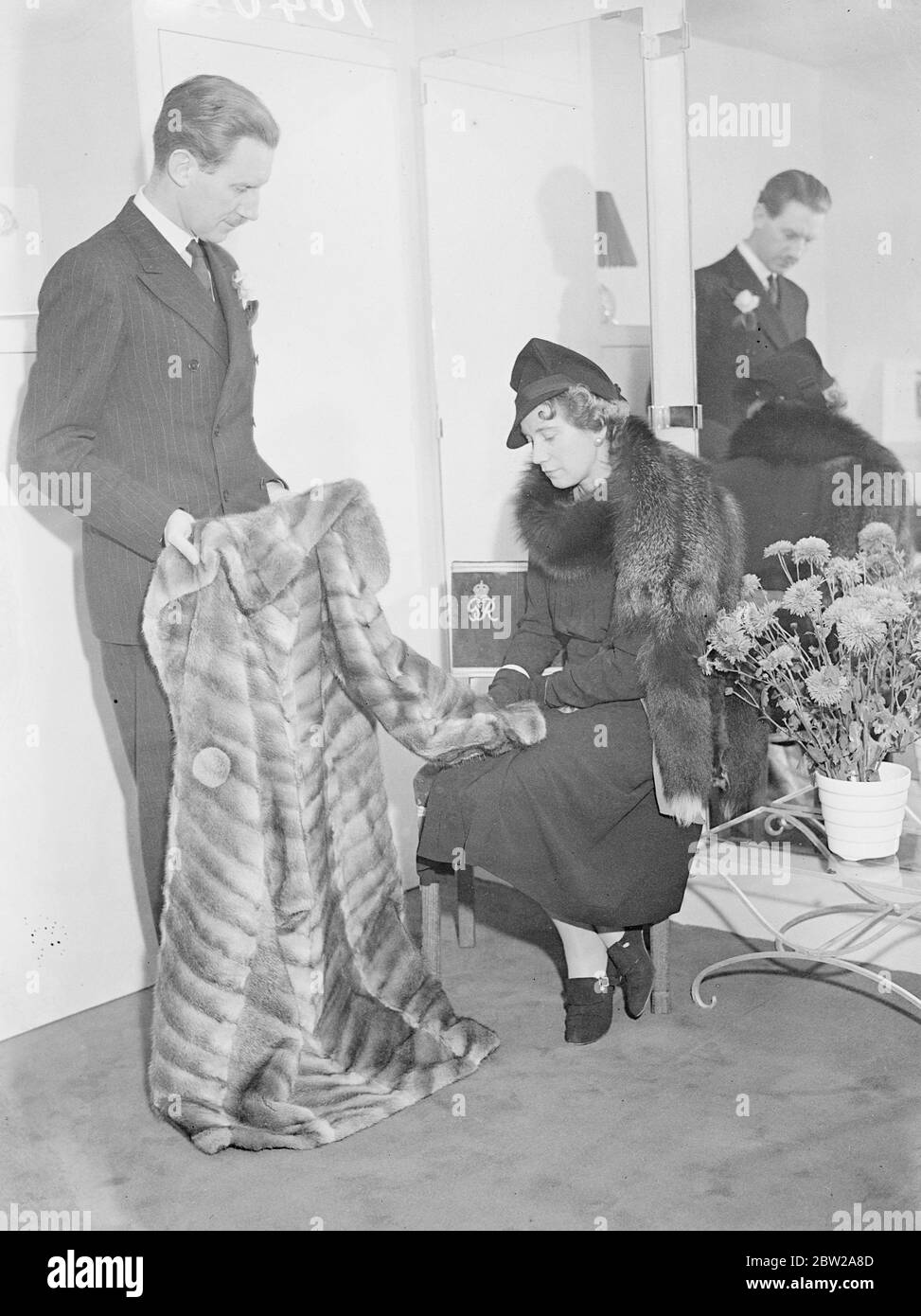 Irish peer è esperto di moda Mayfair. Discendente degli antichi re irlandesi, un collega, Lord Inchiquin, è in affari a Mayfair come un ulteriore e esperto di moda sotto il nome democratico irlandese, 'D o'Brien'His nome di famiglia. Nel suo salone Mayfair, la sedia utilizzata dai clienti è quella occupata da Lady Inchiquin all'incoronazione. Spettacoli fotografici, Lord Inchiquin che mostra un musquash modellato ad un cliente, che è seduto sulla sedia occupata da Lady Inchiquin all'incoronazione. 18 ottobre 1937 Foto Stock