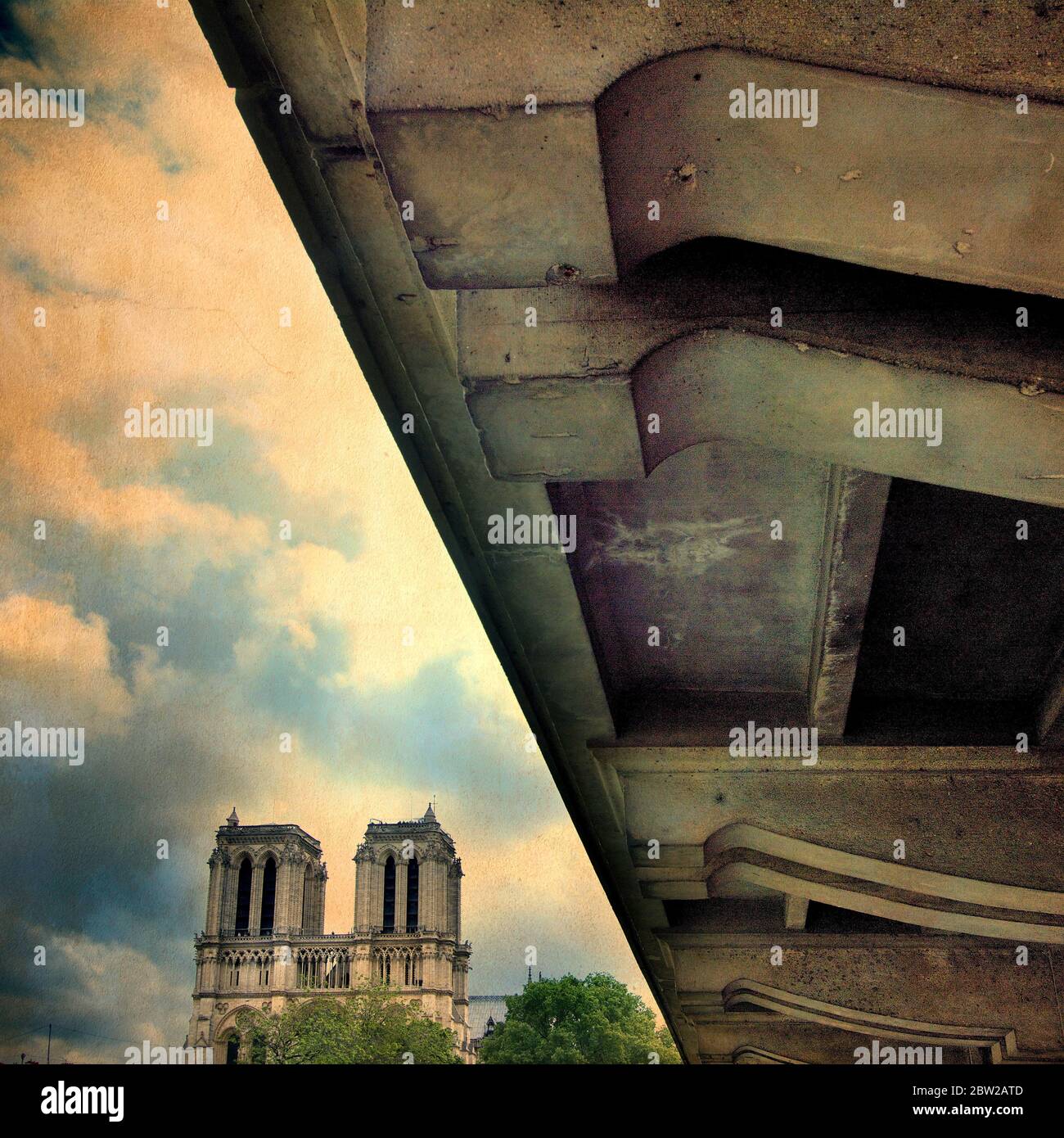 Cattedrale di Notre Dame, Parigi 1er arr, Francia, Europa Foto Stock