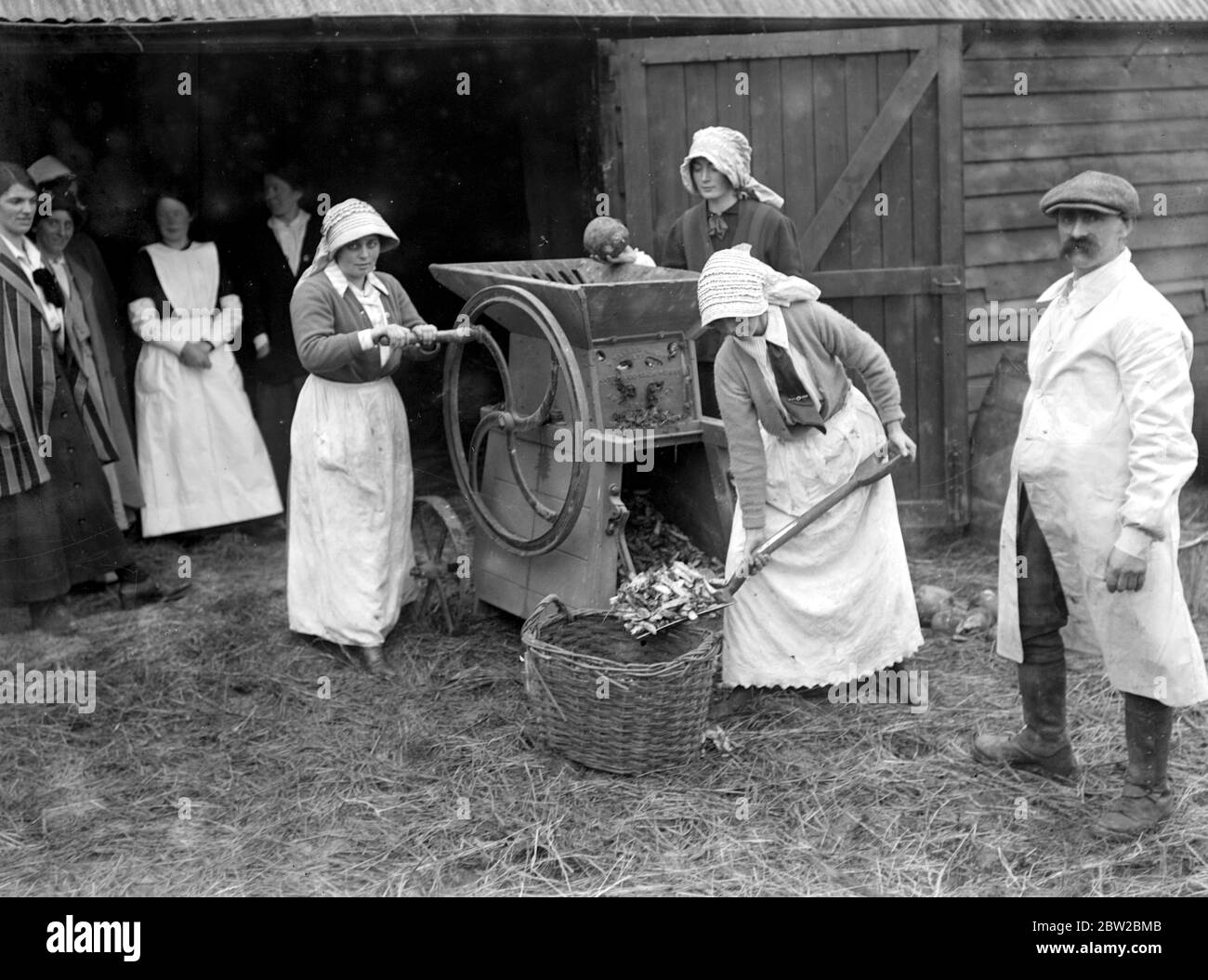 Donne contadine a Sparsholt, Hampshire. 1914-1918 Foto Stock