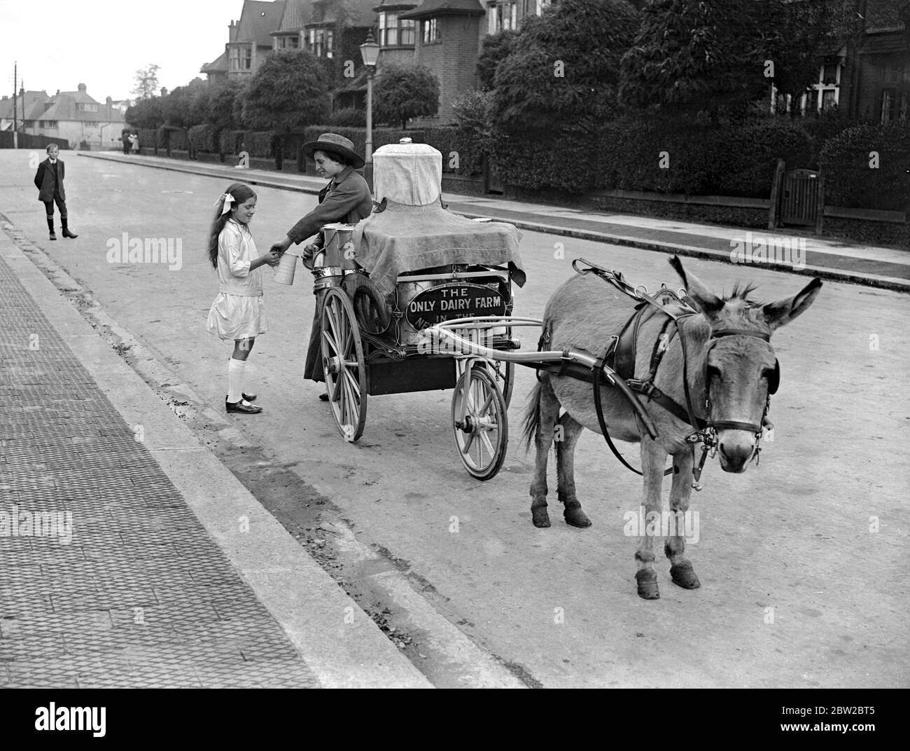 Il milkman e il suo cavallo sono scomparsi dai sobborghi di Londra, entrambi in servizio attivo. Sono stati sostituiti da un mungitino e da un asino del bambino. 26 agosto 1916 Foto Stock