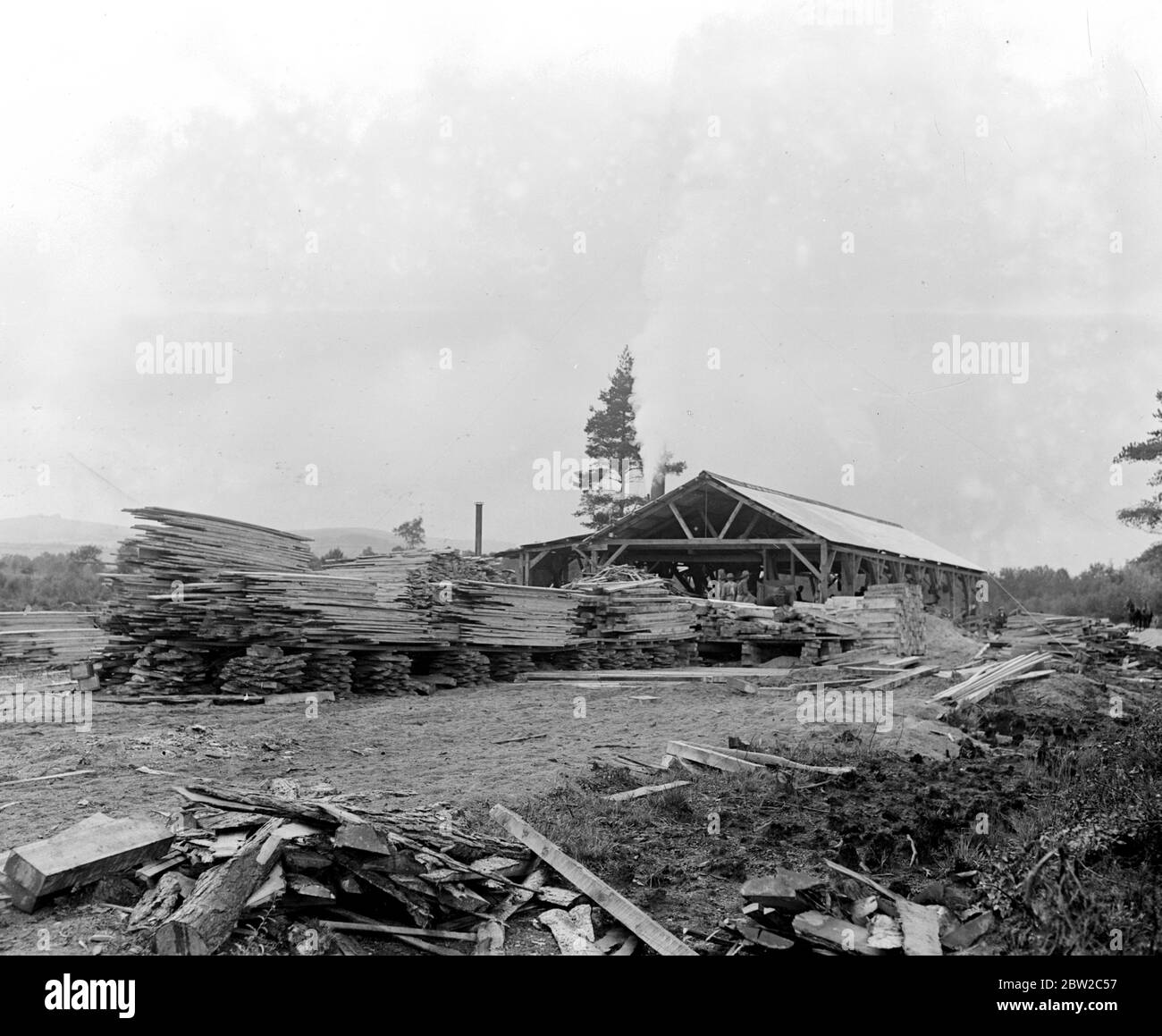 Didascalia originale: I lumbermen rossi indiani e canadesi impiegati vicino a Newton Abbot, Devon. Tagliando giù e segando gli alberi in assi per uso nelle trincee. Il campo. 1914-1918 Foto Stock