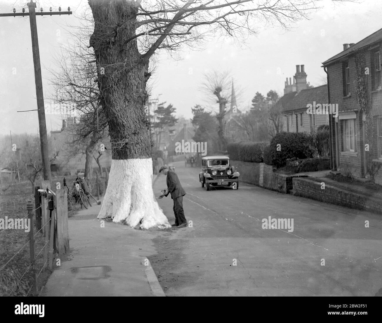 Lavando i tronchi di alberi sulla strada per la sicurezza a Eynsford, Kent. 1934 Foto Stock
