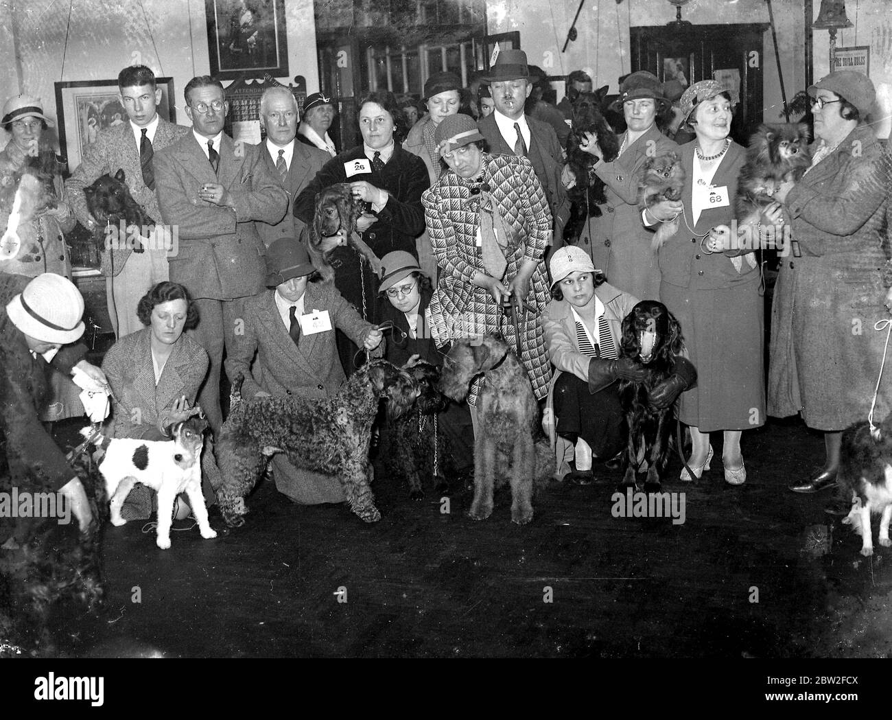 Spettacolo di cani (New Eltham). 1934 Foto Stock