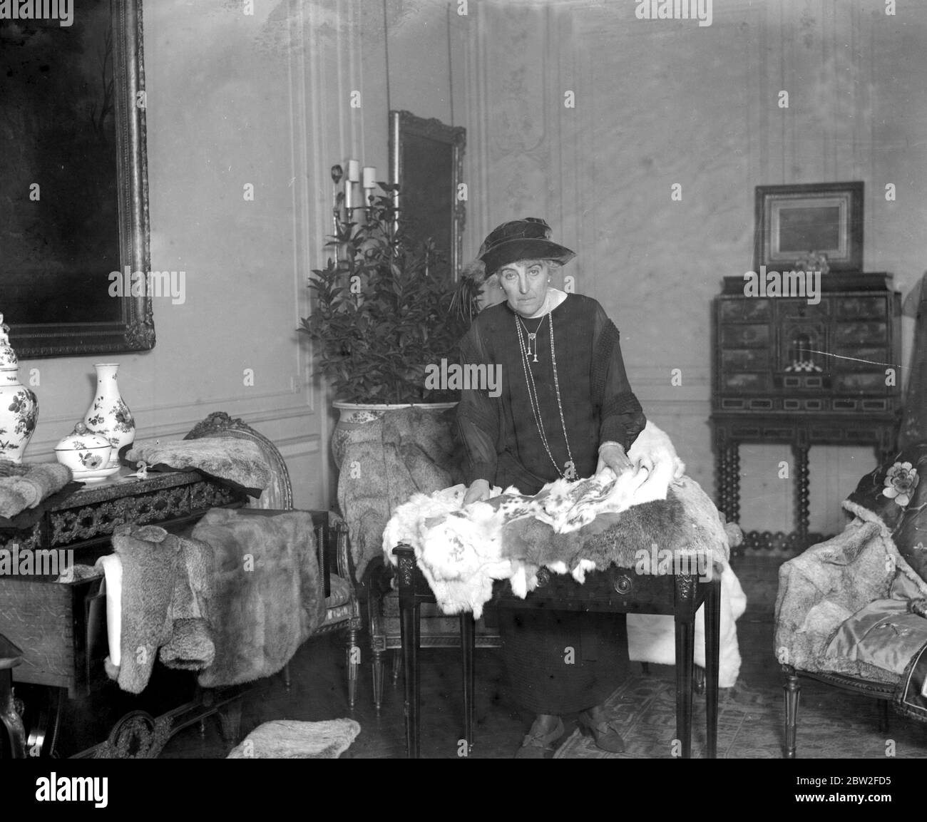 La Baronessa De Brienen nel suo salotto - saleroom a 1. Montare la fila .W.1. Dove vende pellicce di pelle di coniglio fatte da conigli che lei ha allevato nella sua propria fattoria in Olanda . 1923 Foto Stock