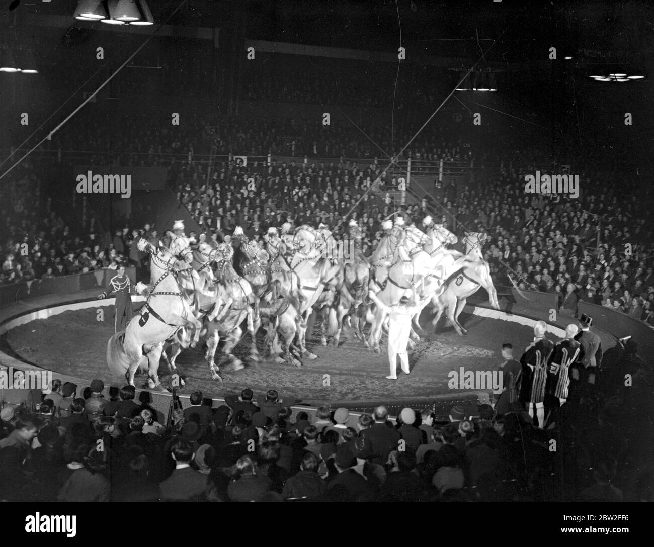 Giorno di apertura del Circo di Bertram Mills a Olympia. Cavalli. 1934 Foto Stock