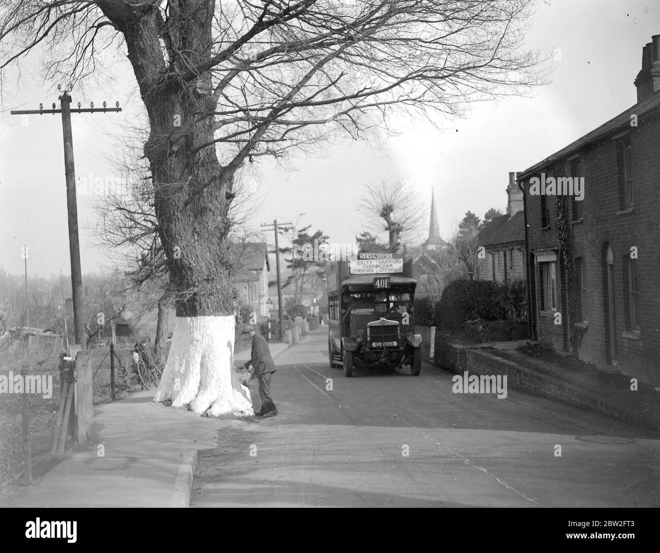 Lavando i tronchi di alberi sulla strada per la sicurezza a Eynsford, Kent. [Sevenoaks bus route 401] 1934 Foto Stock