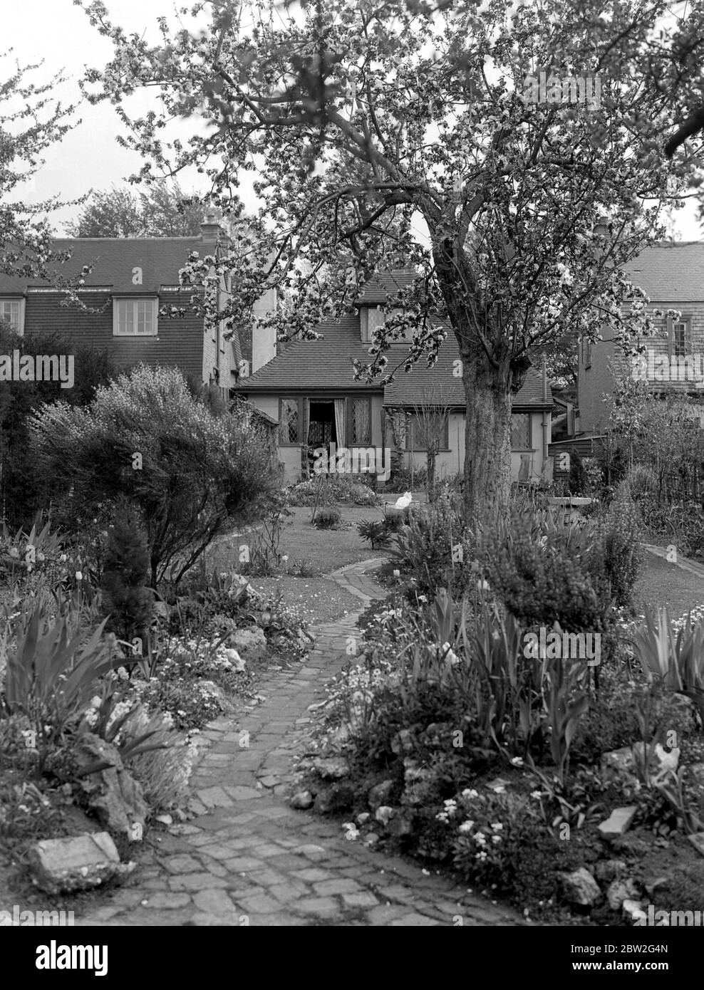 Giardino. anni 20 Foto Stock