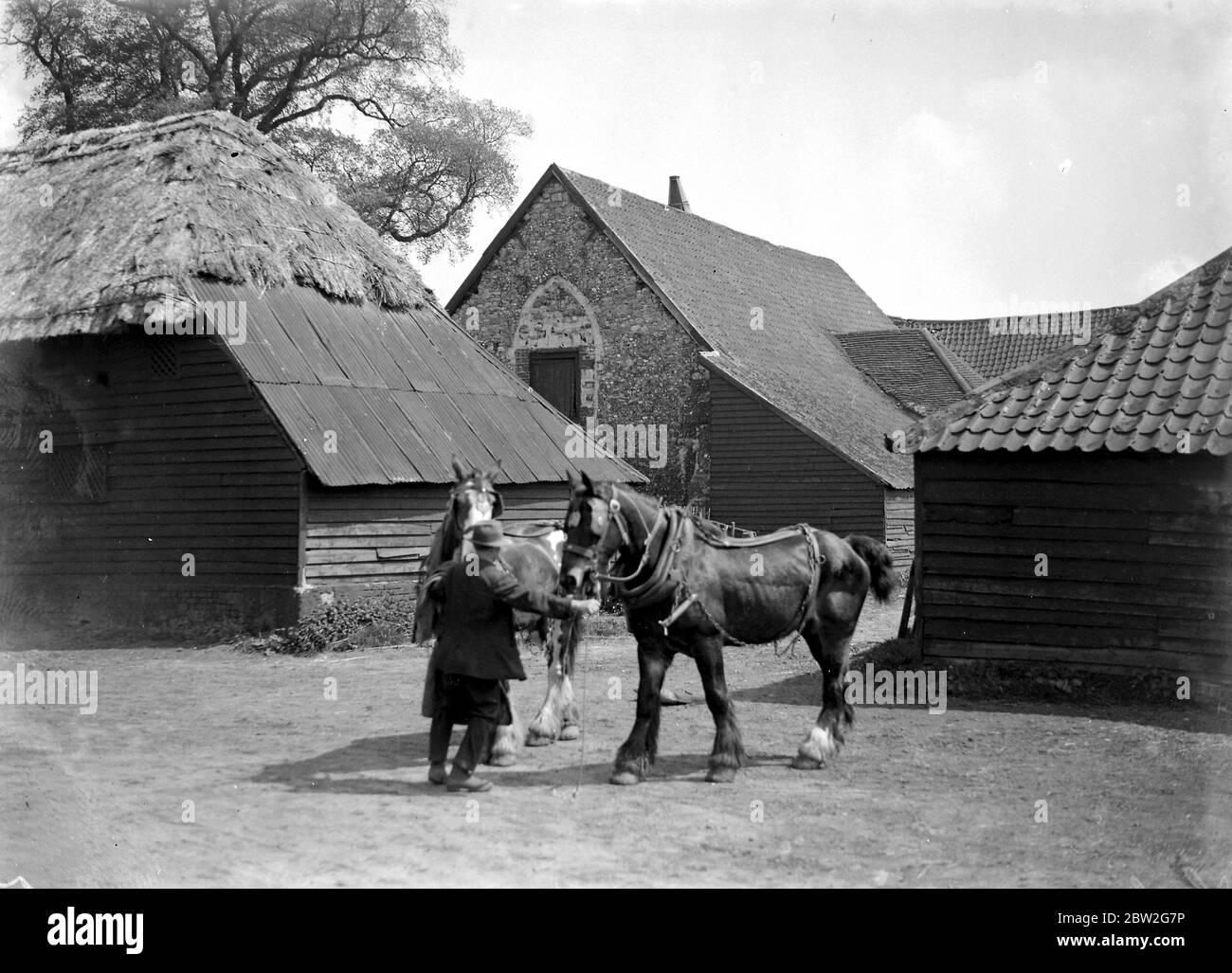 Uomo che tiene due cavalli di shire di fronte ad una chiesa di Barn. 1934 Foto Stock