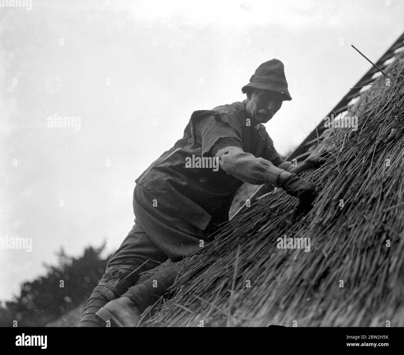 Stendendo il tetto della sede dell'Hermitage della Società Selboorne ad Hanwell , con canne coltivate nella proprietà del Signore Montagu di Beaulieu . Signor Buckland, uomo dell' Hampshire al lavoro. 1 gennaio 1929 Foto Stock