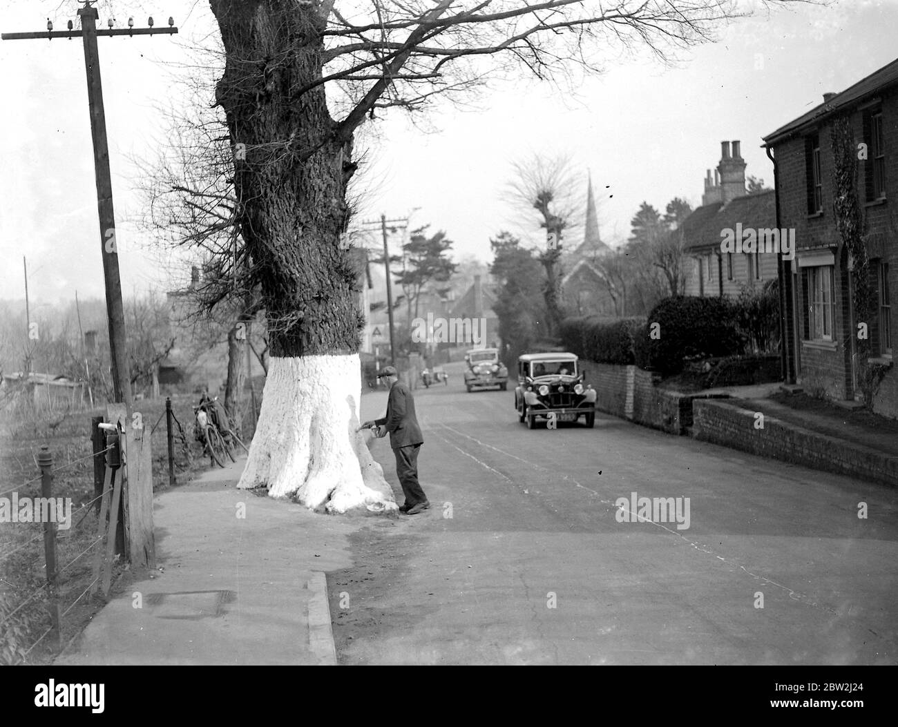 Lavando i tronchi di alberi sulla strada per la sicurezza a Eynsford, Kent. 1934 Foto Stock